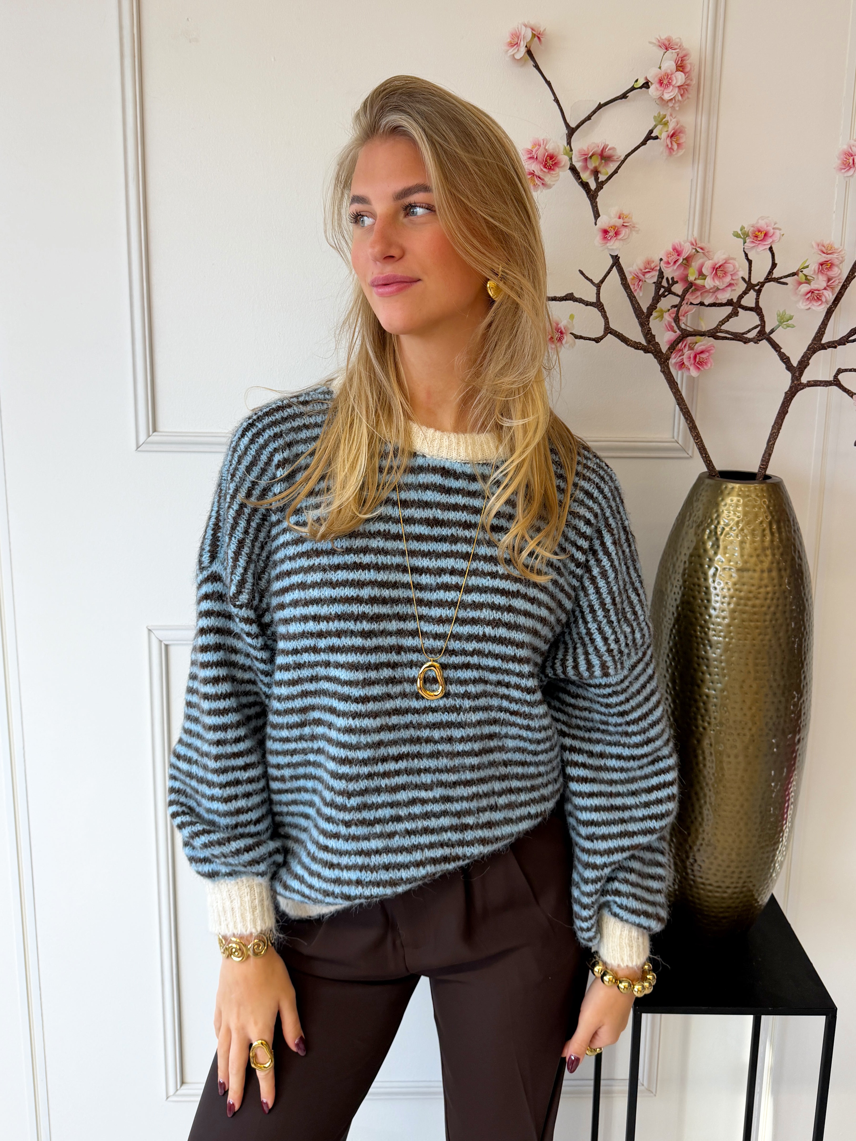 Chastar Striped Sweater | Blauw-Bruin