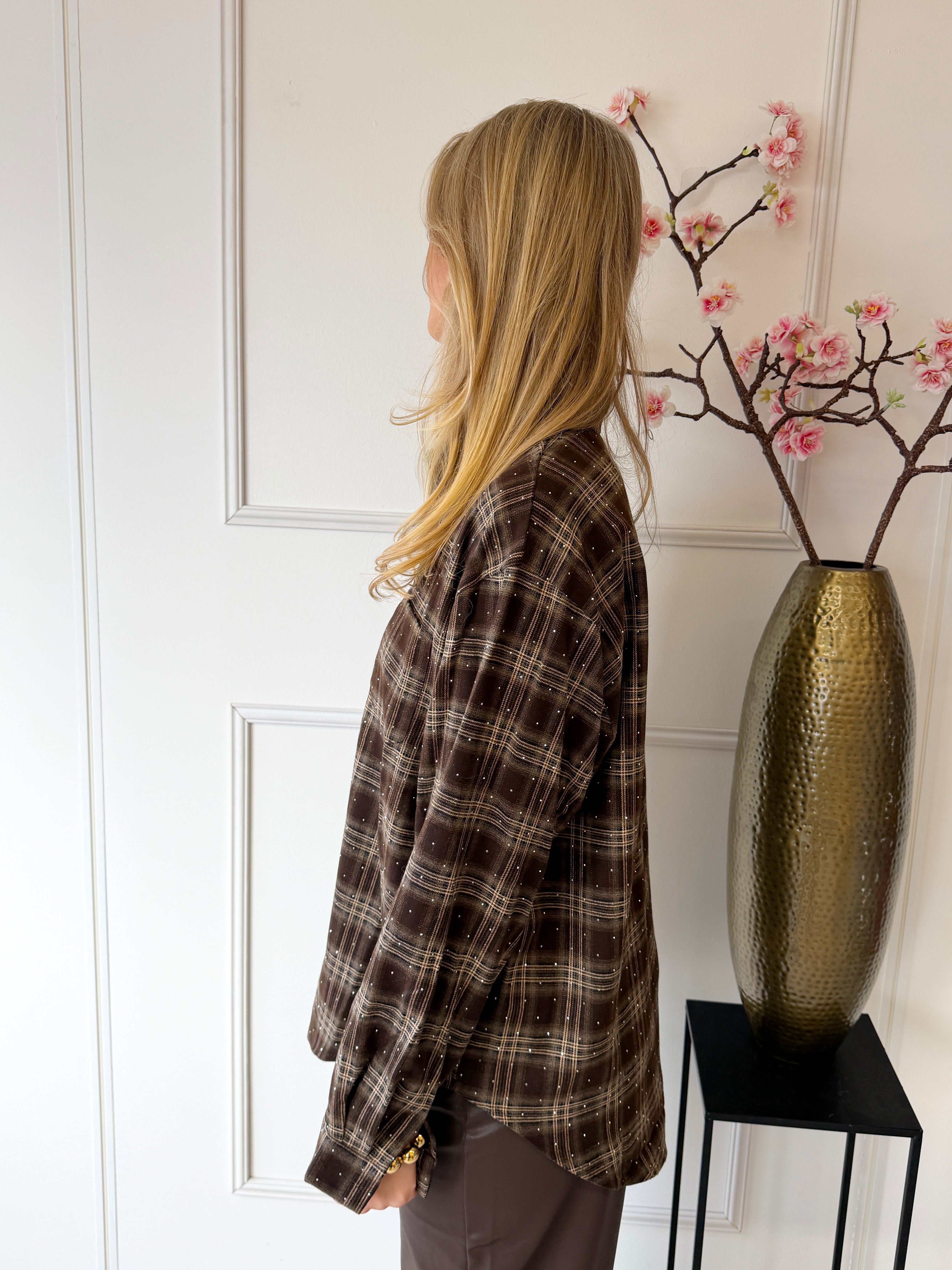 Sparkle Lumber Blouse | Bruin