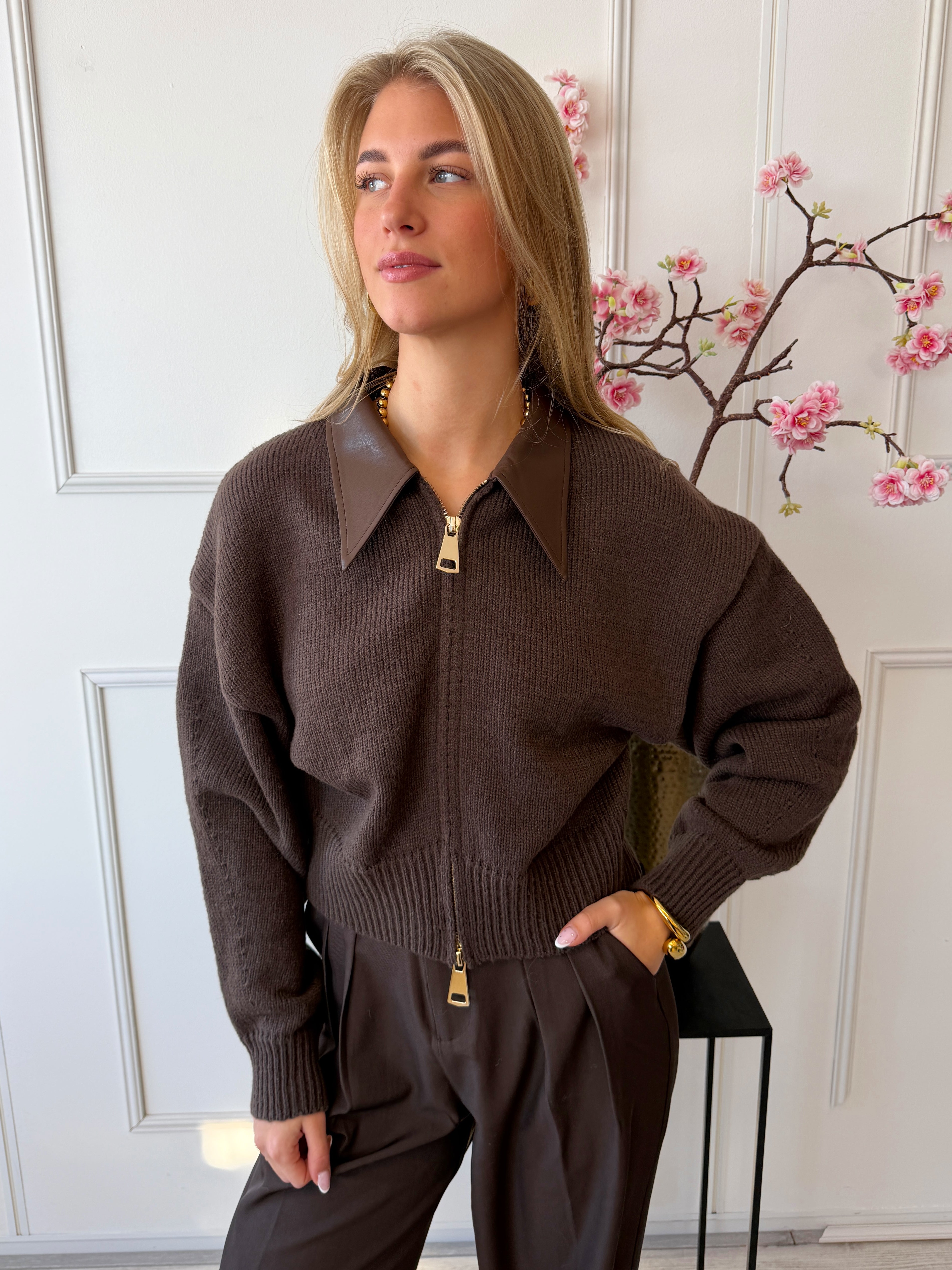 Jade Trui met Leatherlook kraag | Bruin