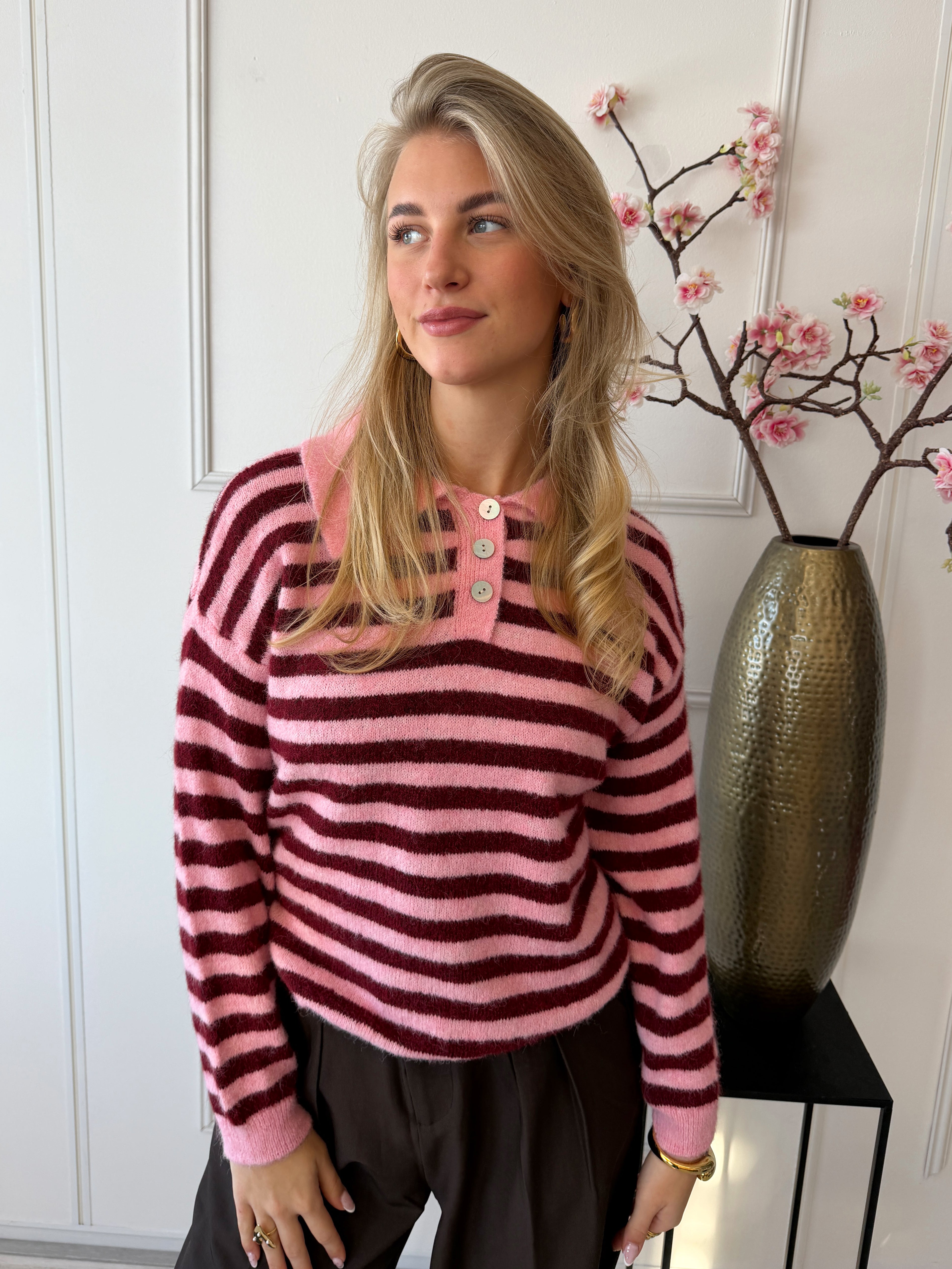 Jip Trui met kraag | Roze - Bordeaux