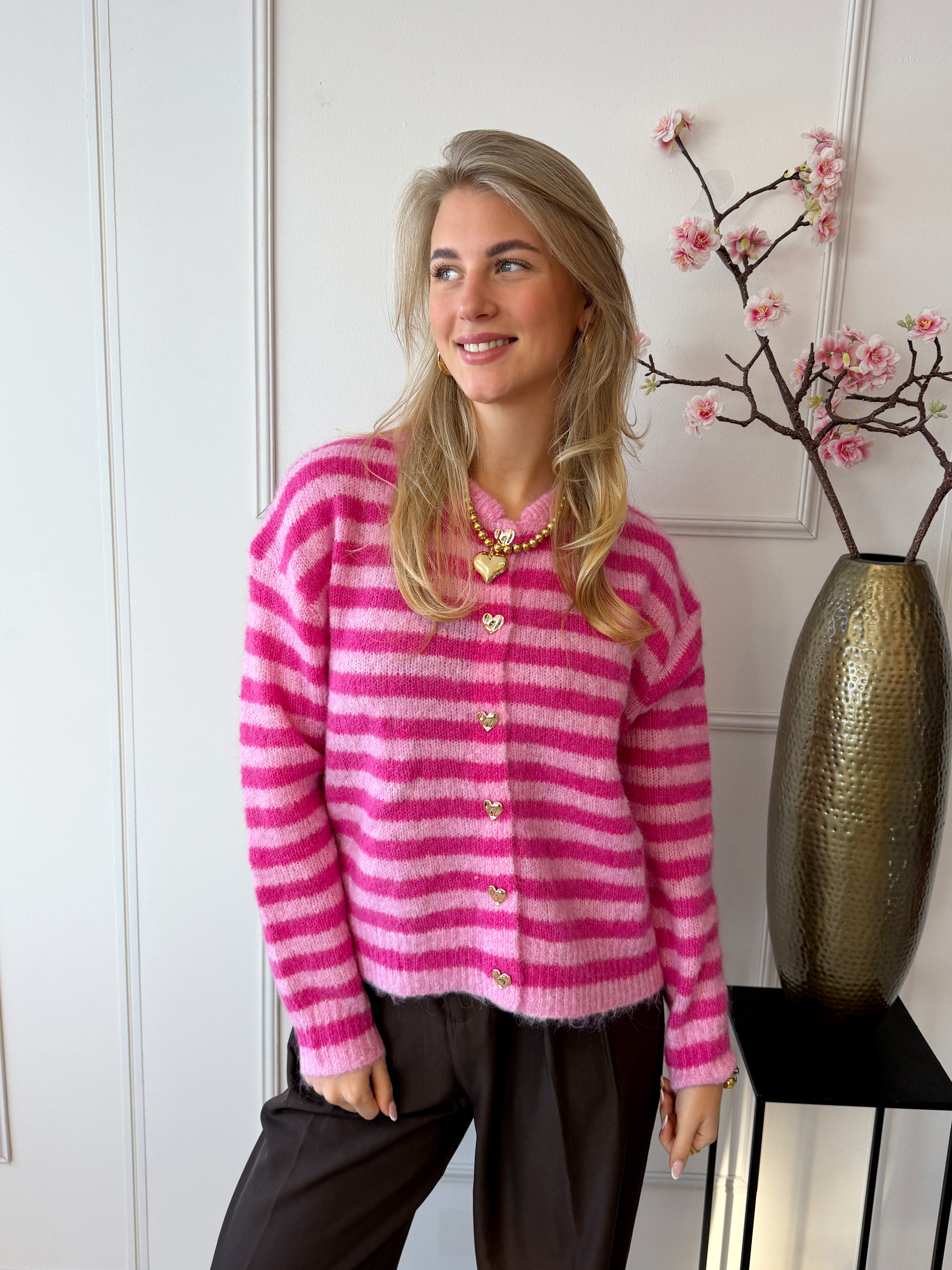 Kilky Stripe Trui | Roze
