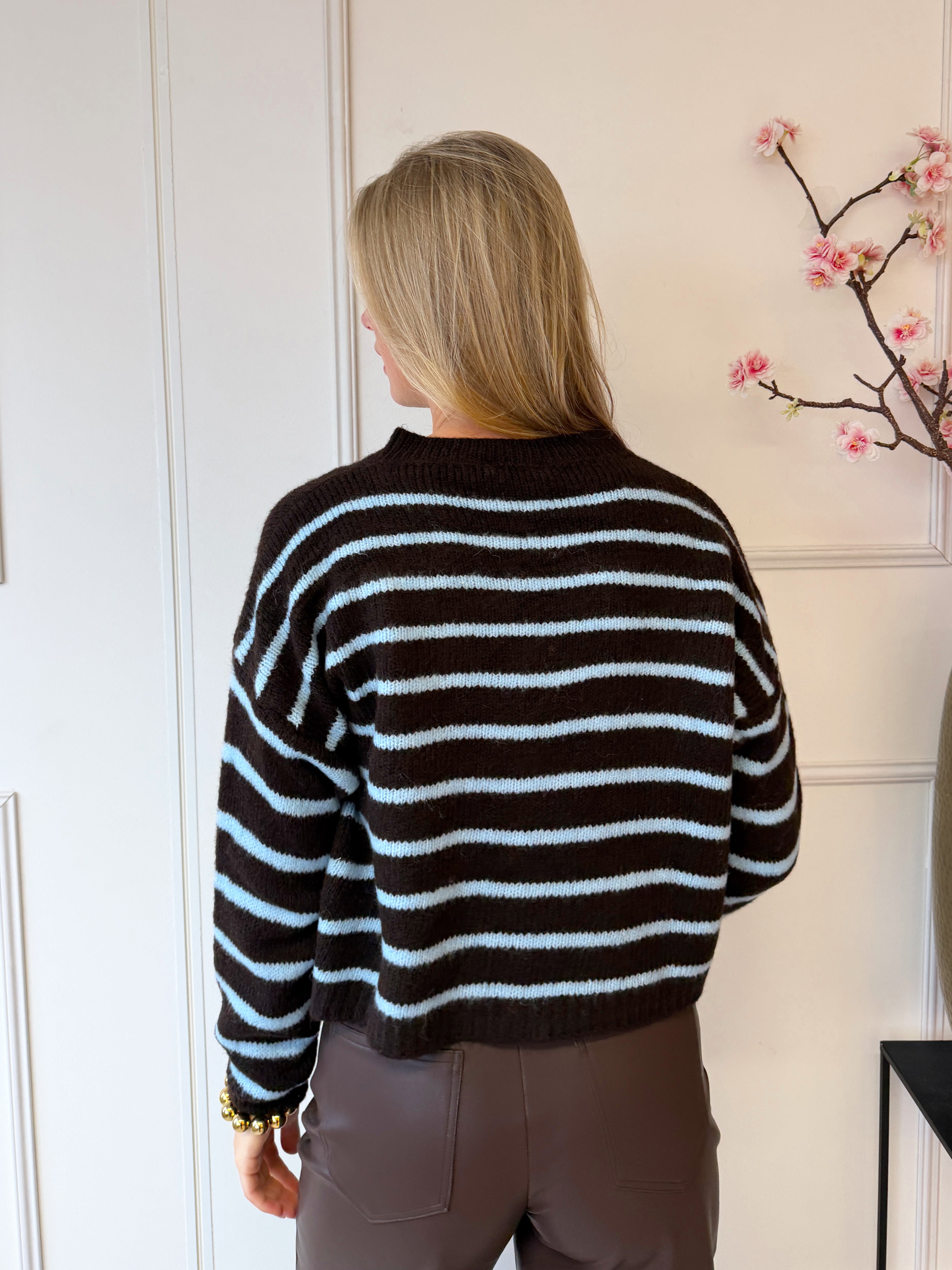 Judy Stripe Vest | Bruin - Blauw
