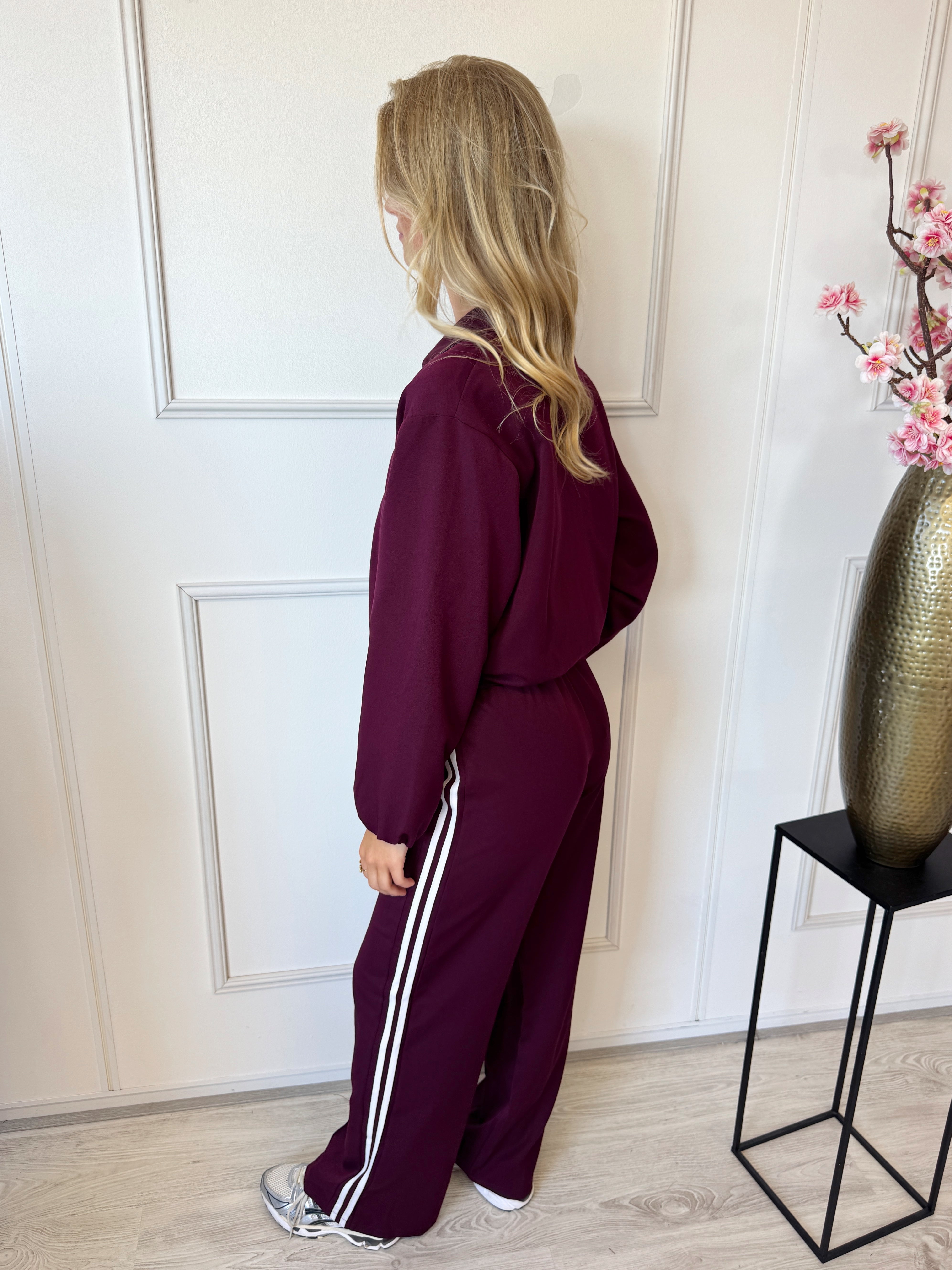 Straight Leg Stripe Pants | Bordeaux