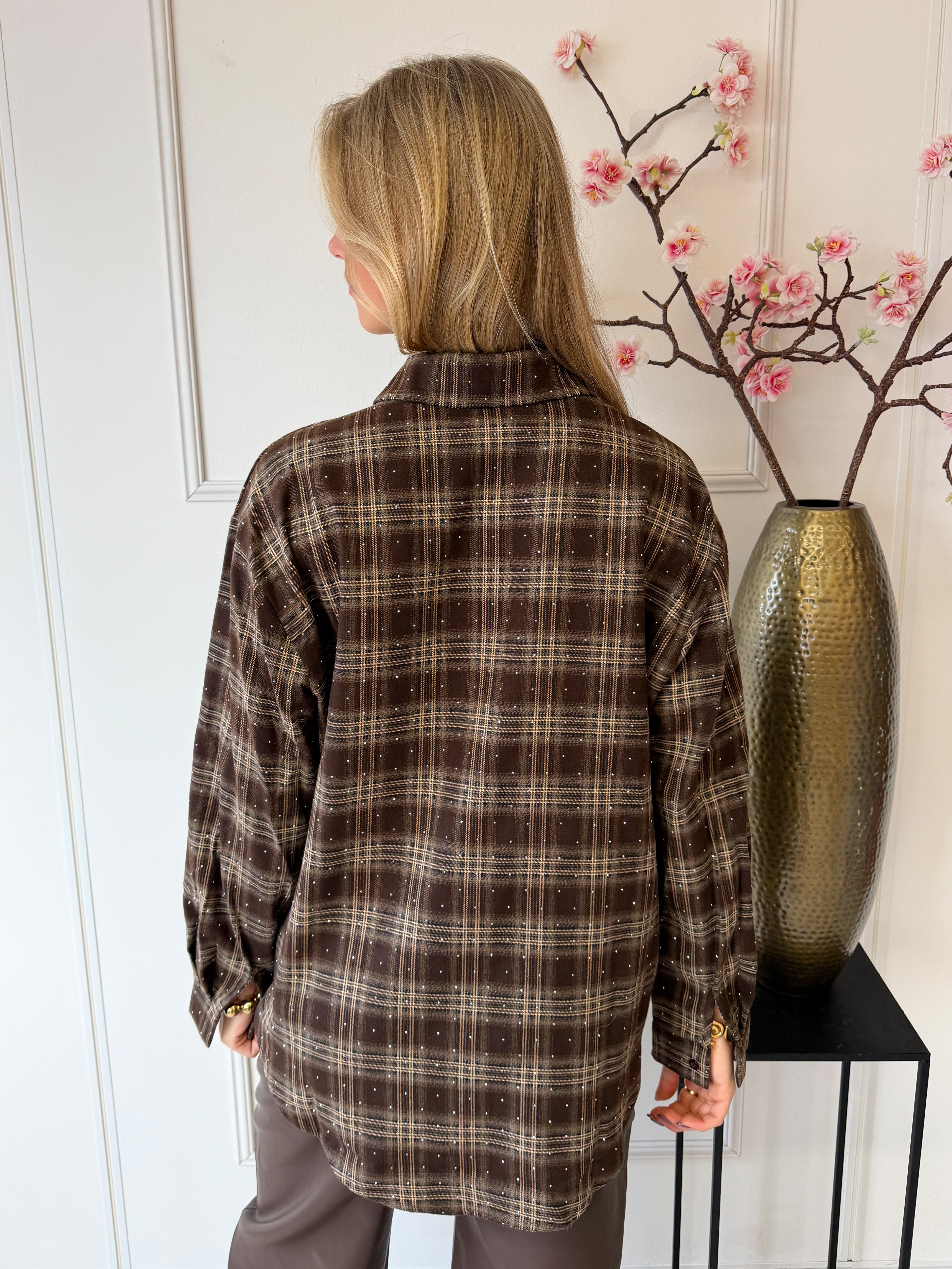 Sparkle Lumber Blouse | Bruin