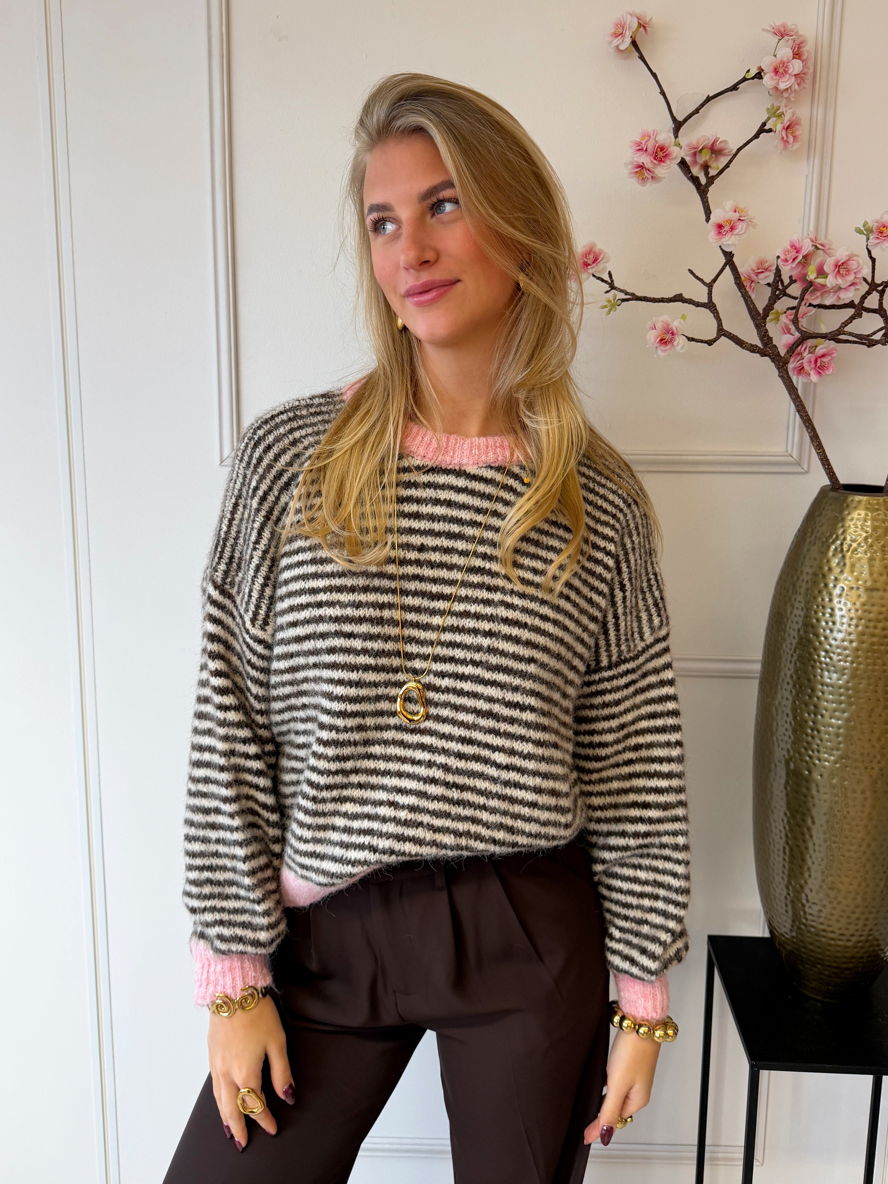 Chastar Striped Sweater | Bruin - Roze
