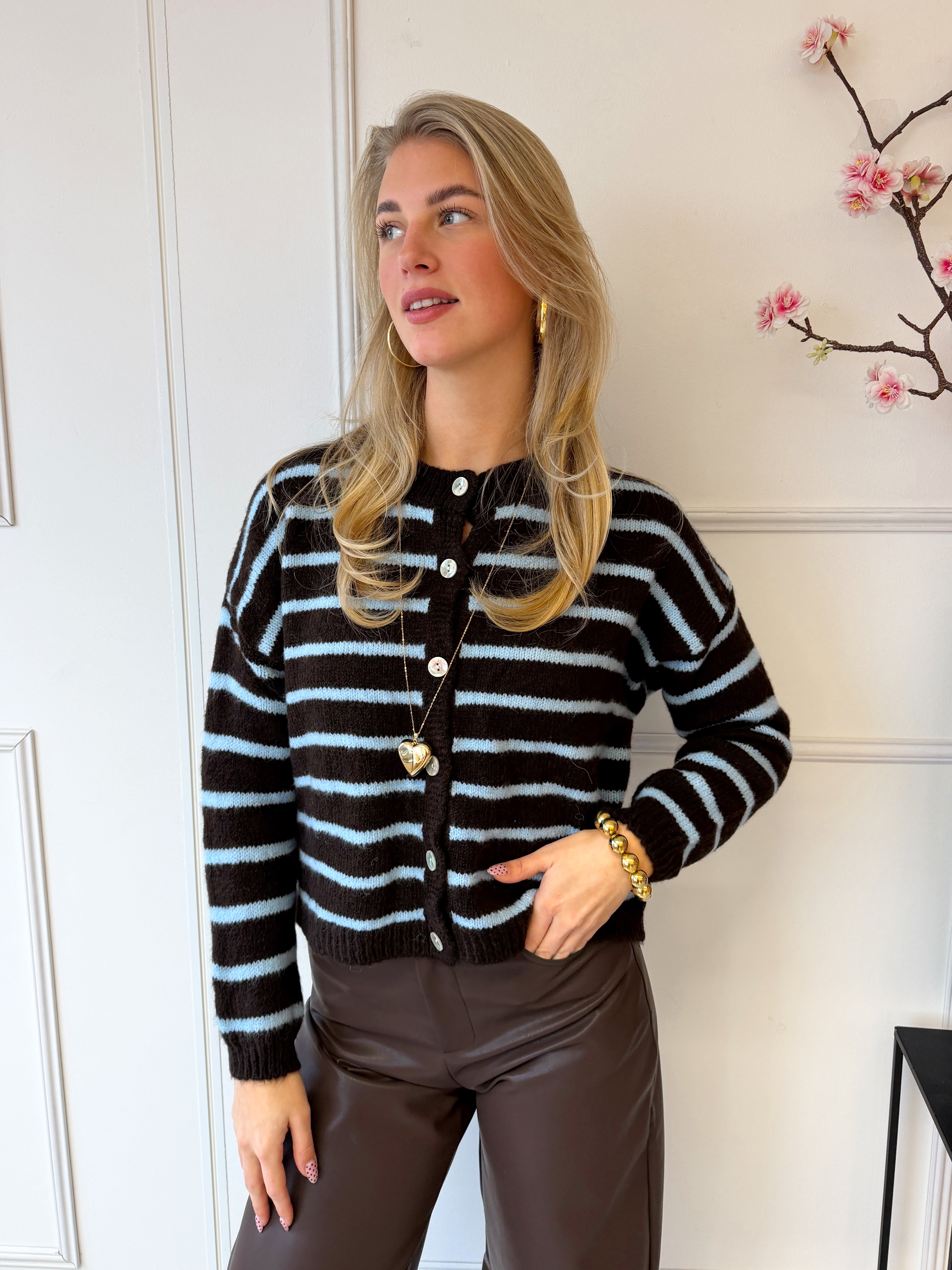 Judy Stripe Vest | Bruin - Blauw