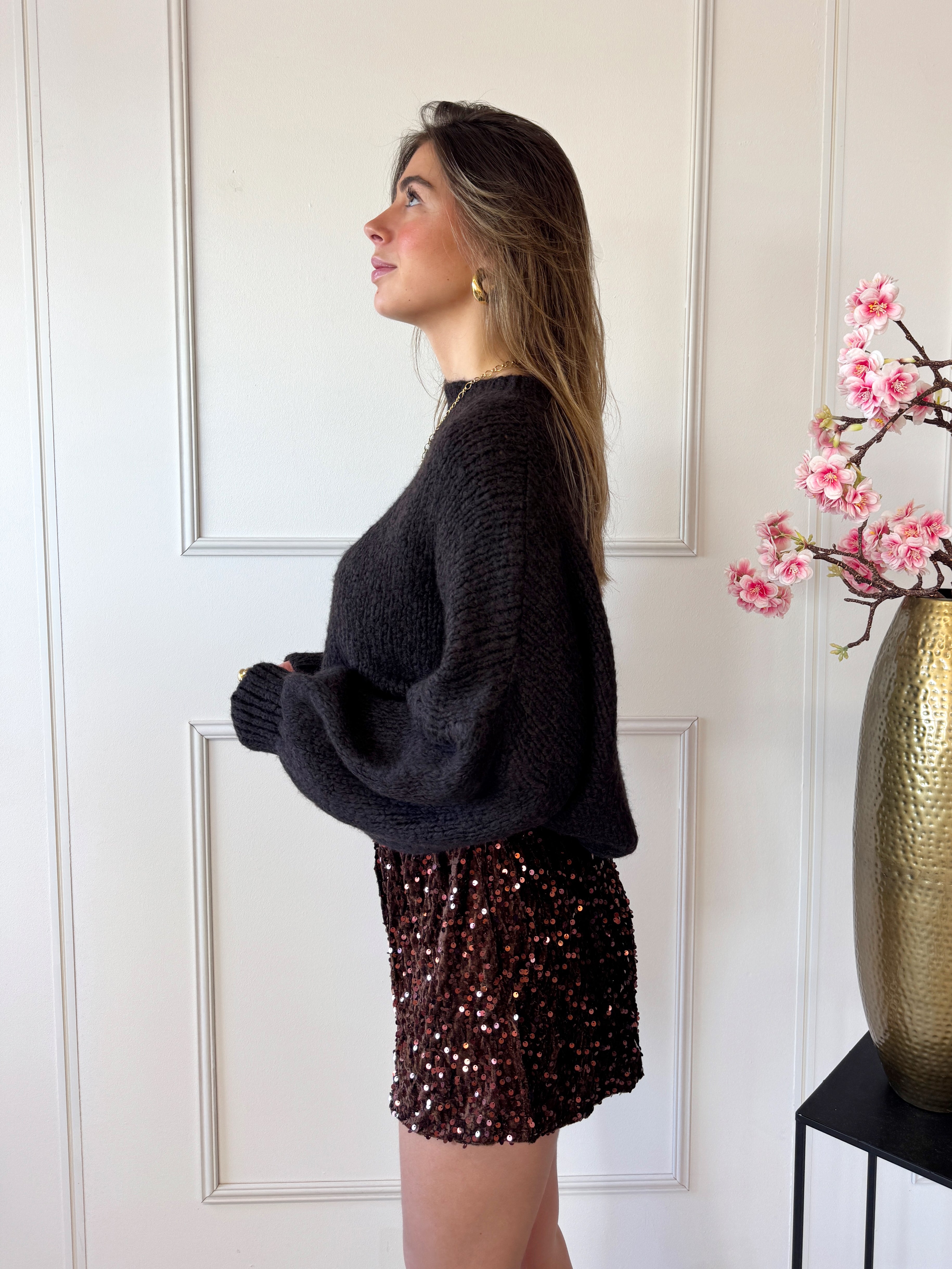 Lesley Sweater | Bruin