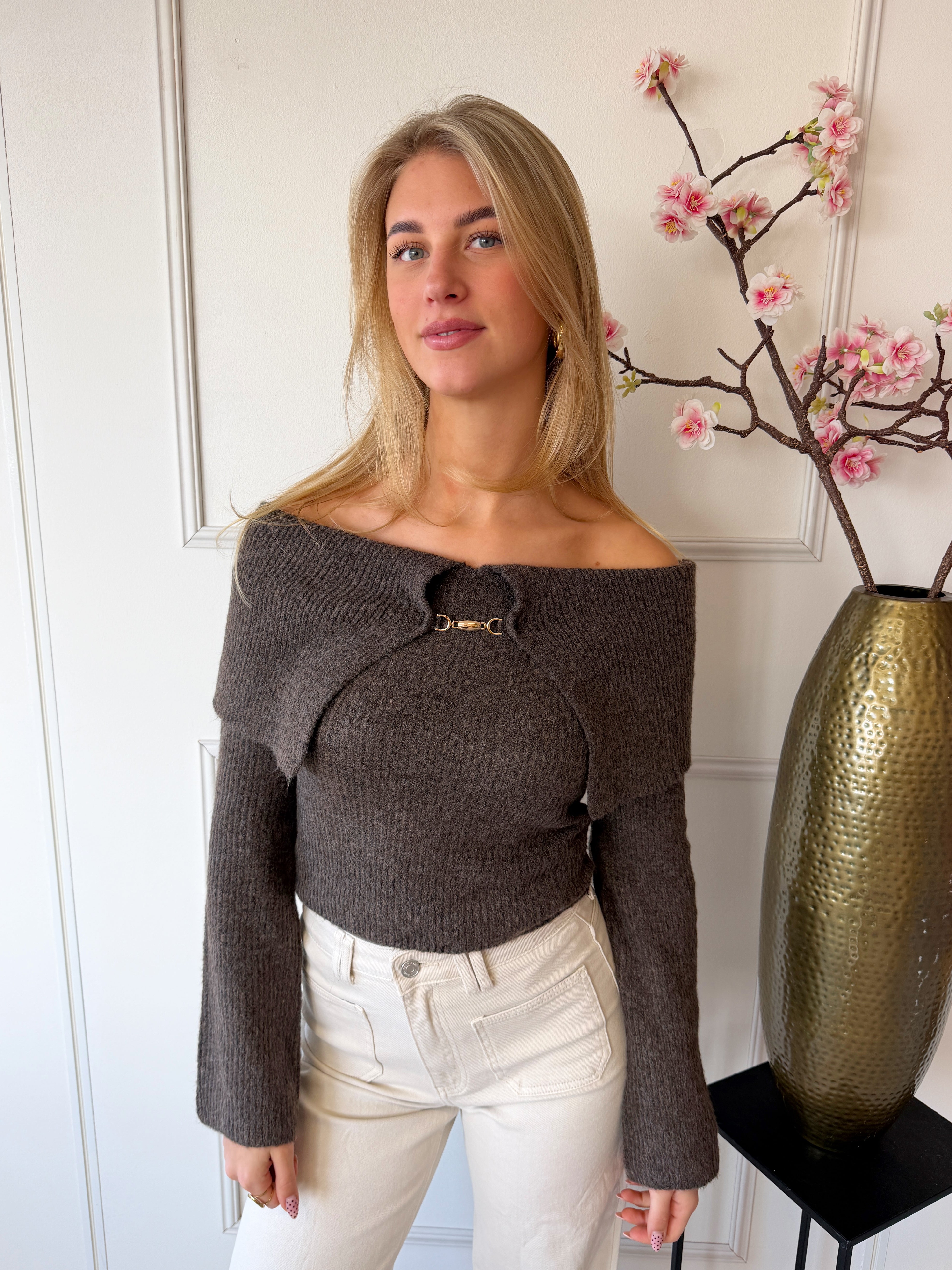 Kim Off Shoulder Trui | Bruin