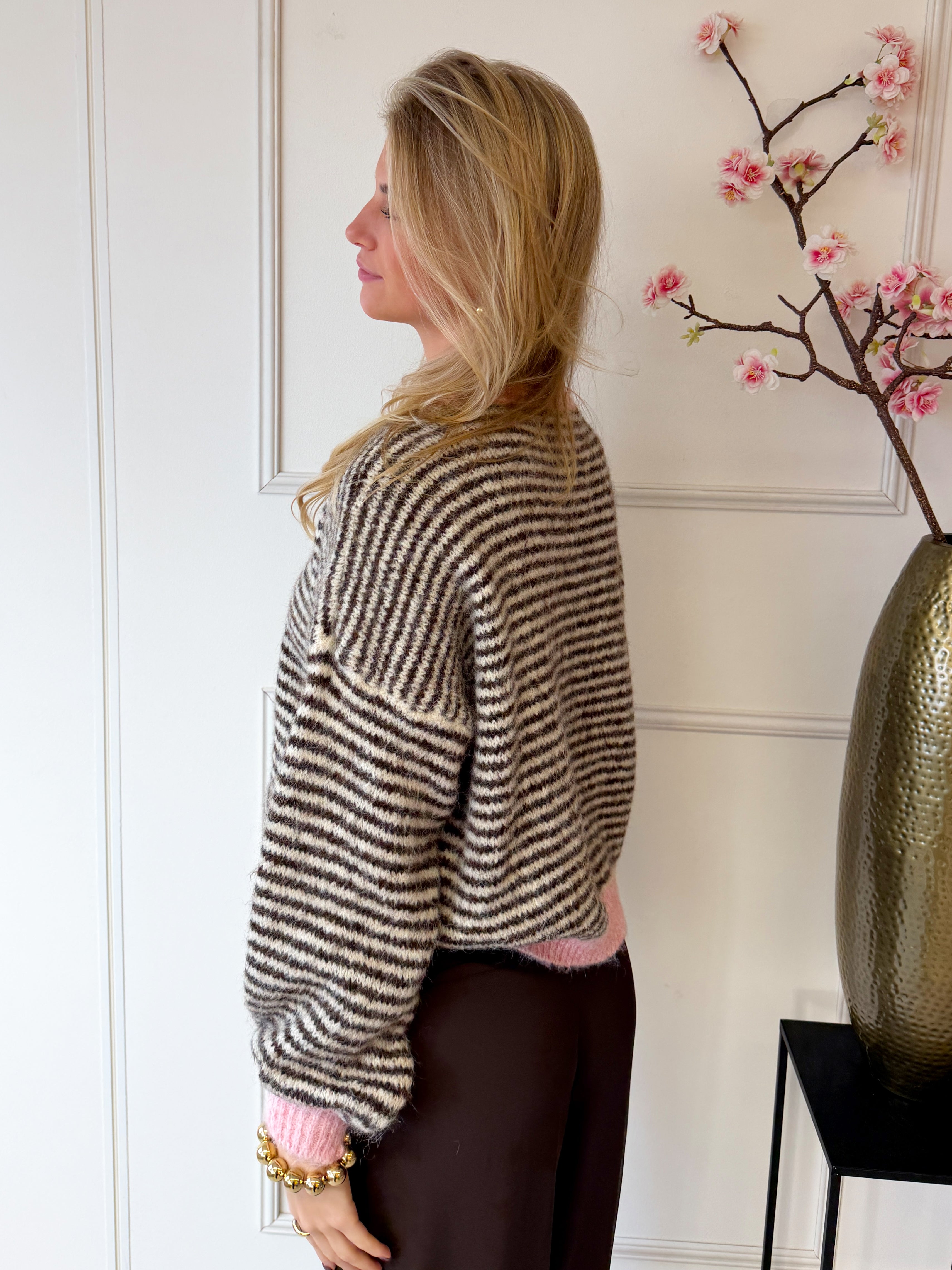 Chastar Striped Sweater | Bruin - Roze