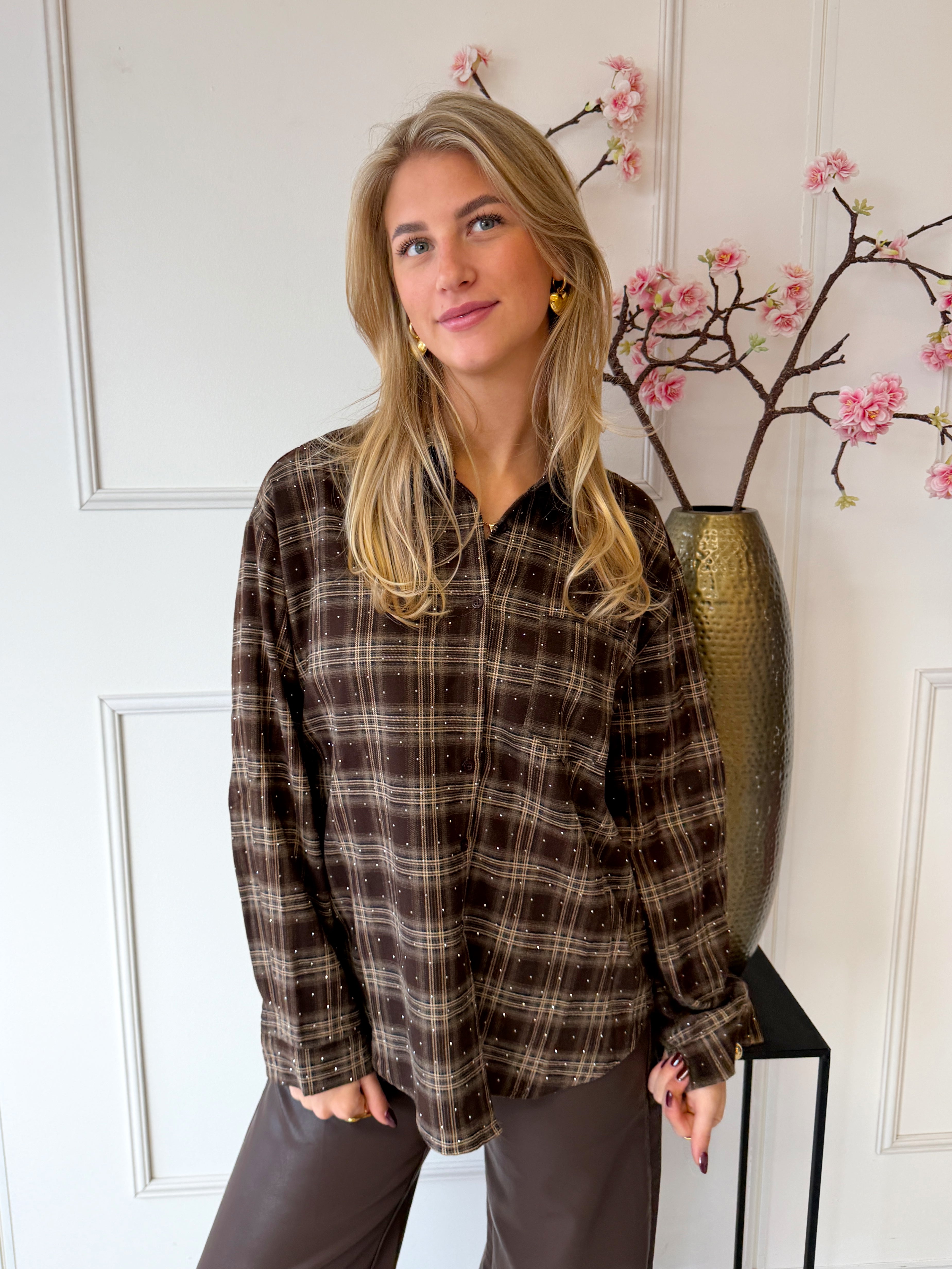 Sparkle Lumber Blouse | Bruin