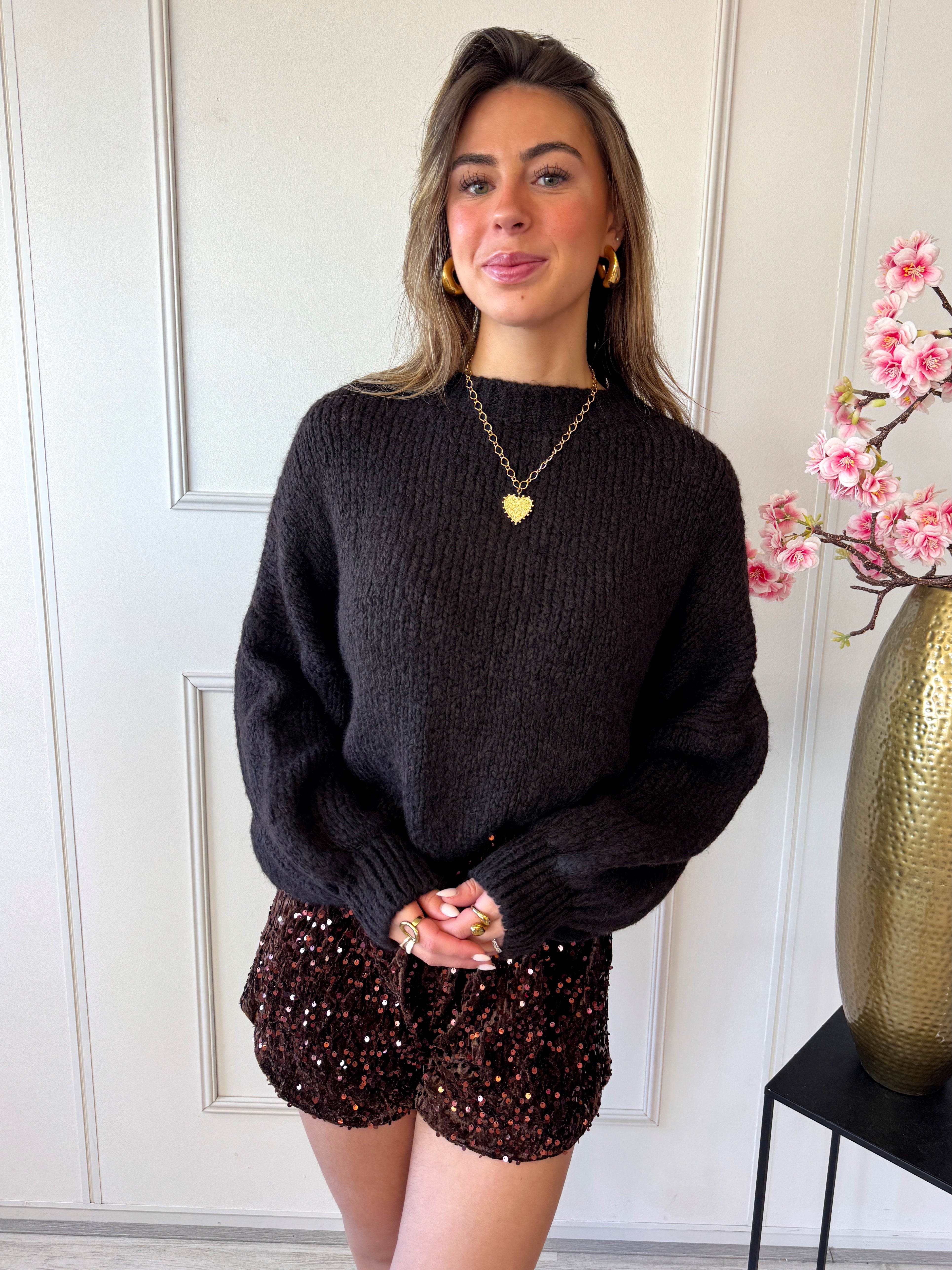 Lesley Sweater | Bruin