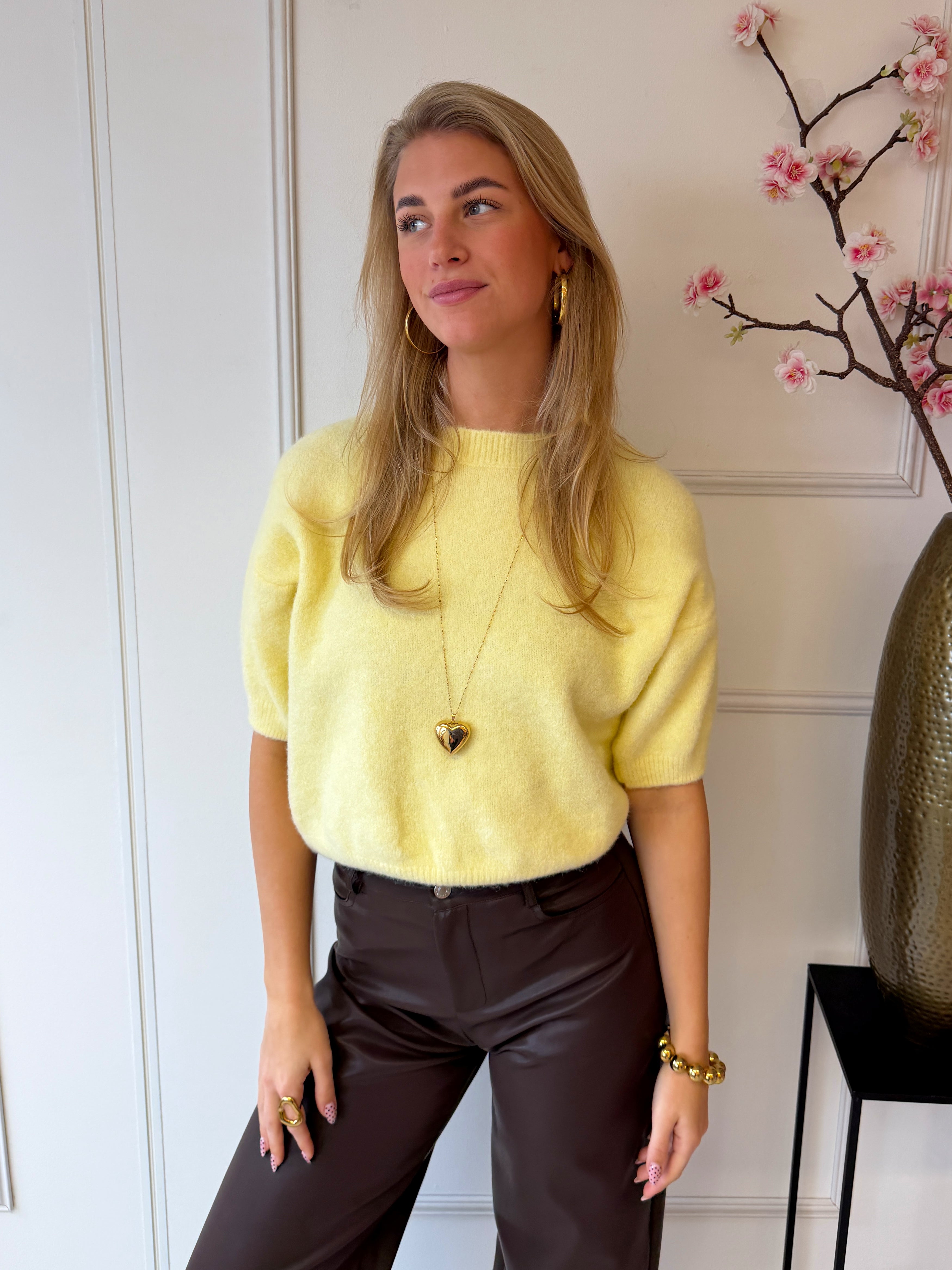 Sophie Truitje | Geel