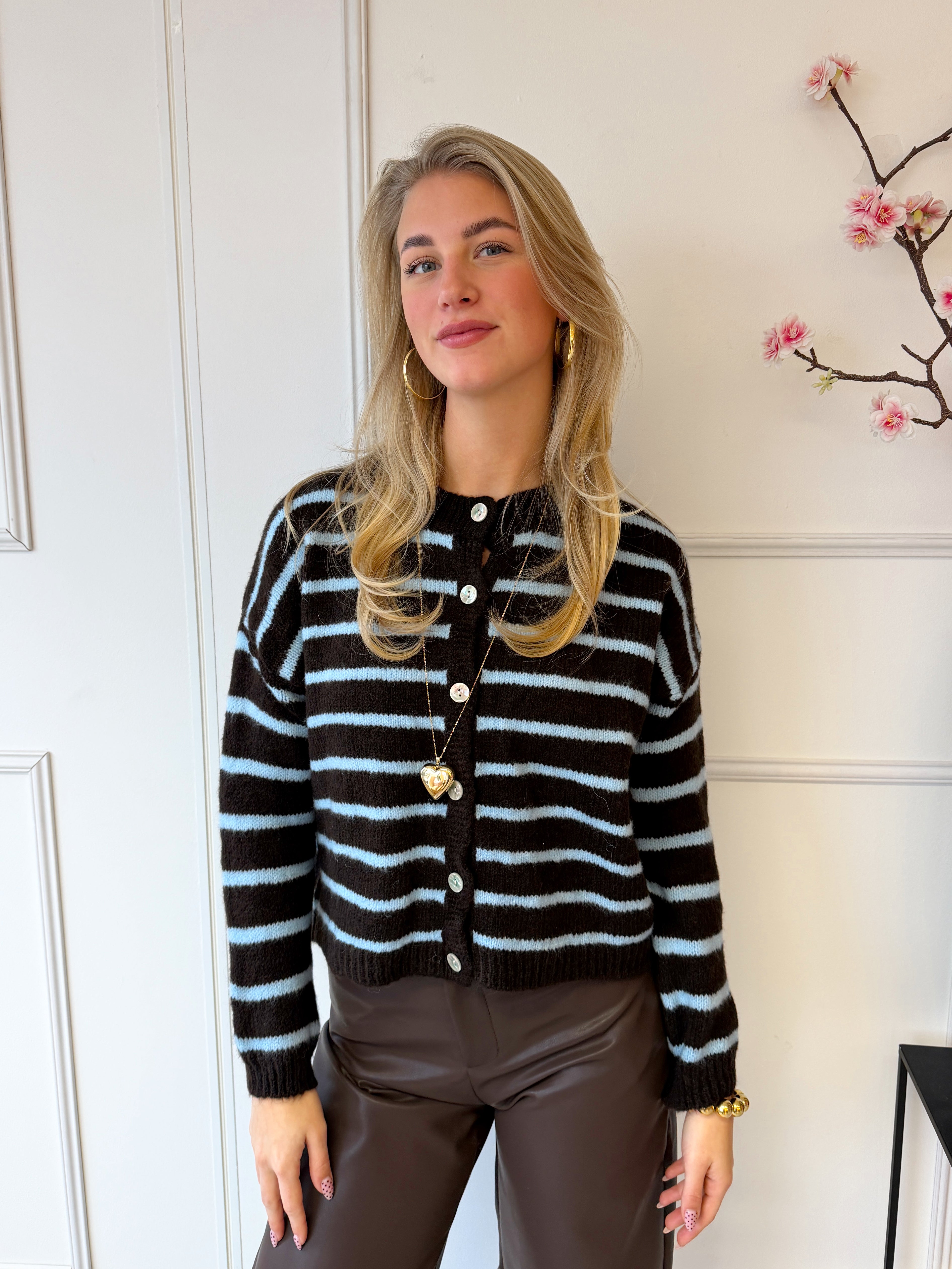 Judy Stripe Vest | Bruin - Blauw