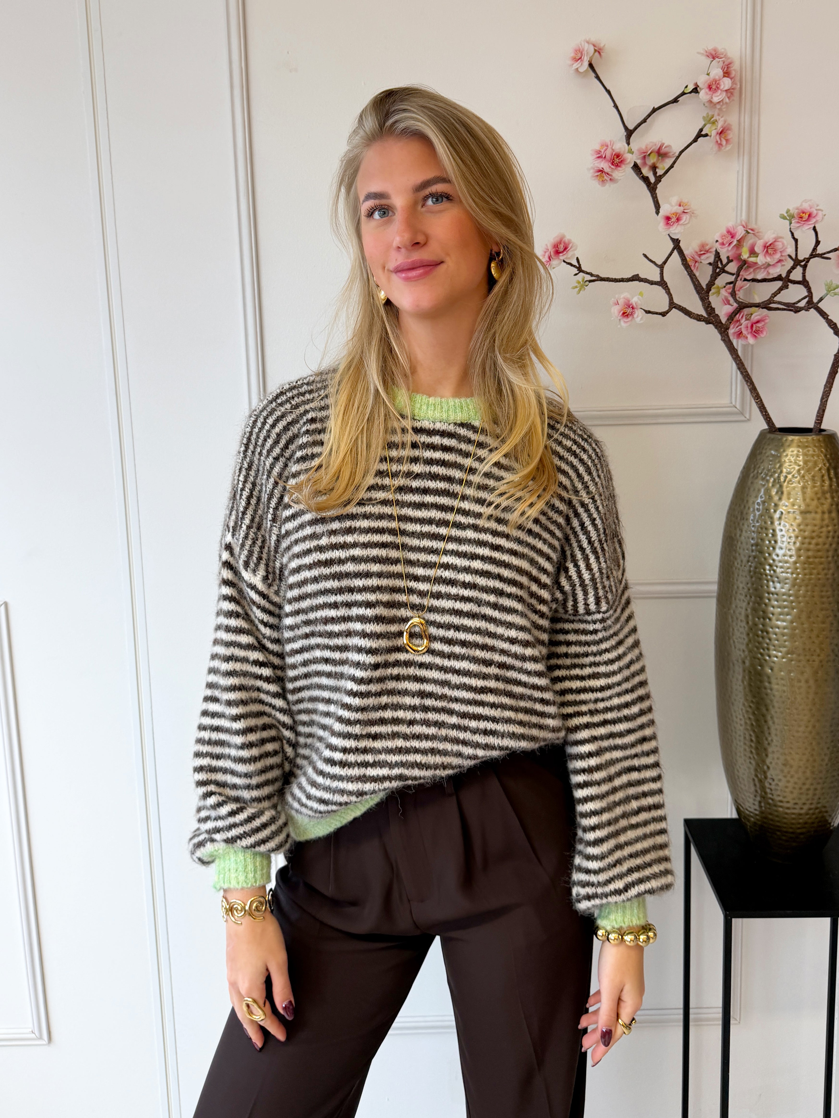 Chastar Striped Sweater | Mint - Bruin