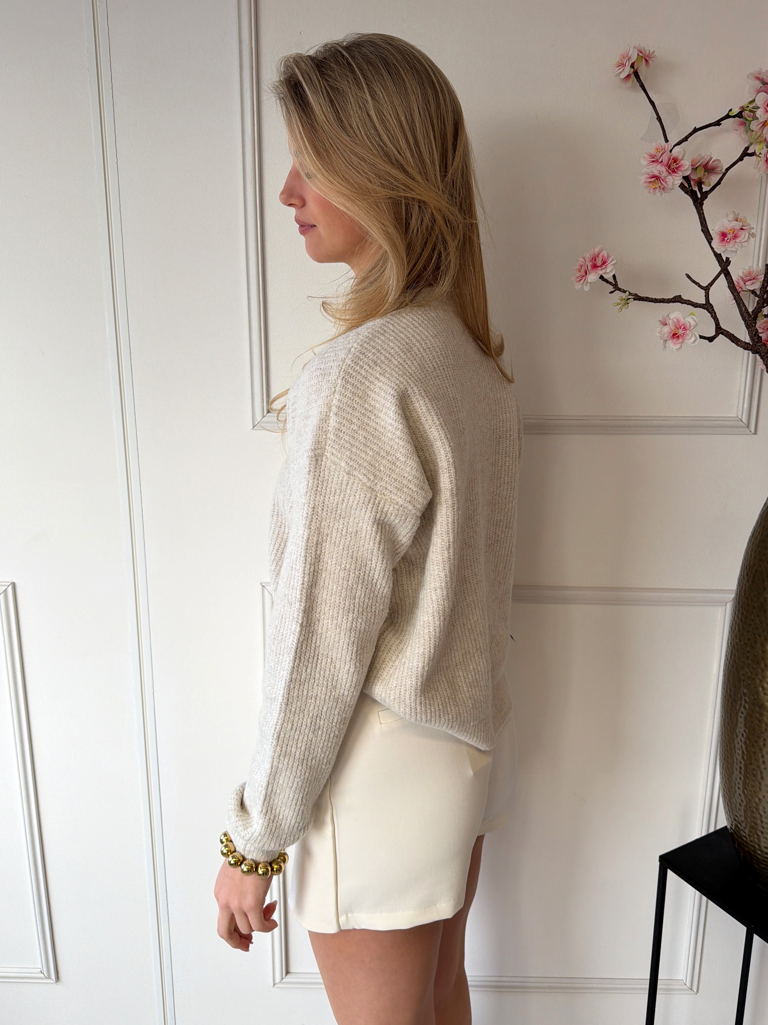 Demi Trui | Beige