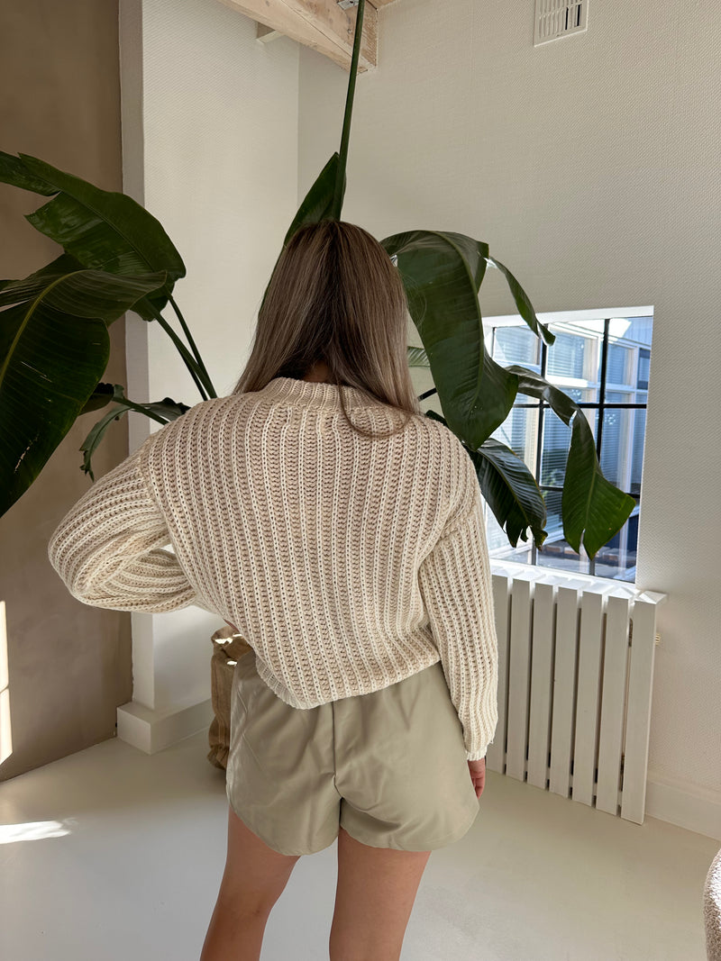 Leatherlook Stretchy Short | Beige