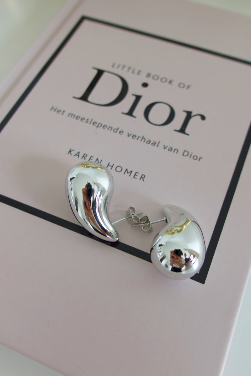 Druppel Oorbellen | Zilver