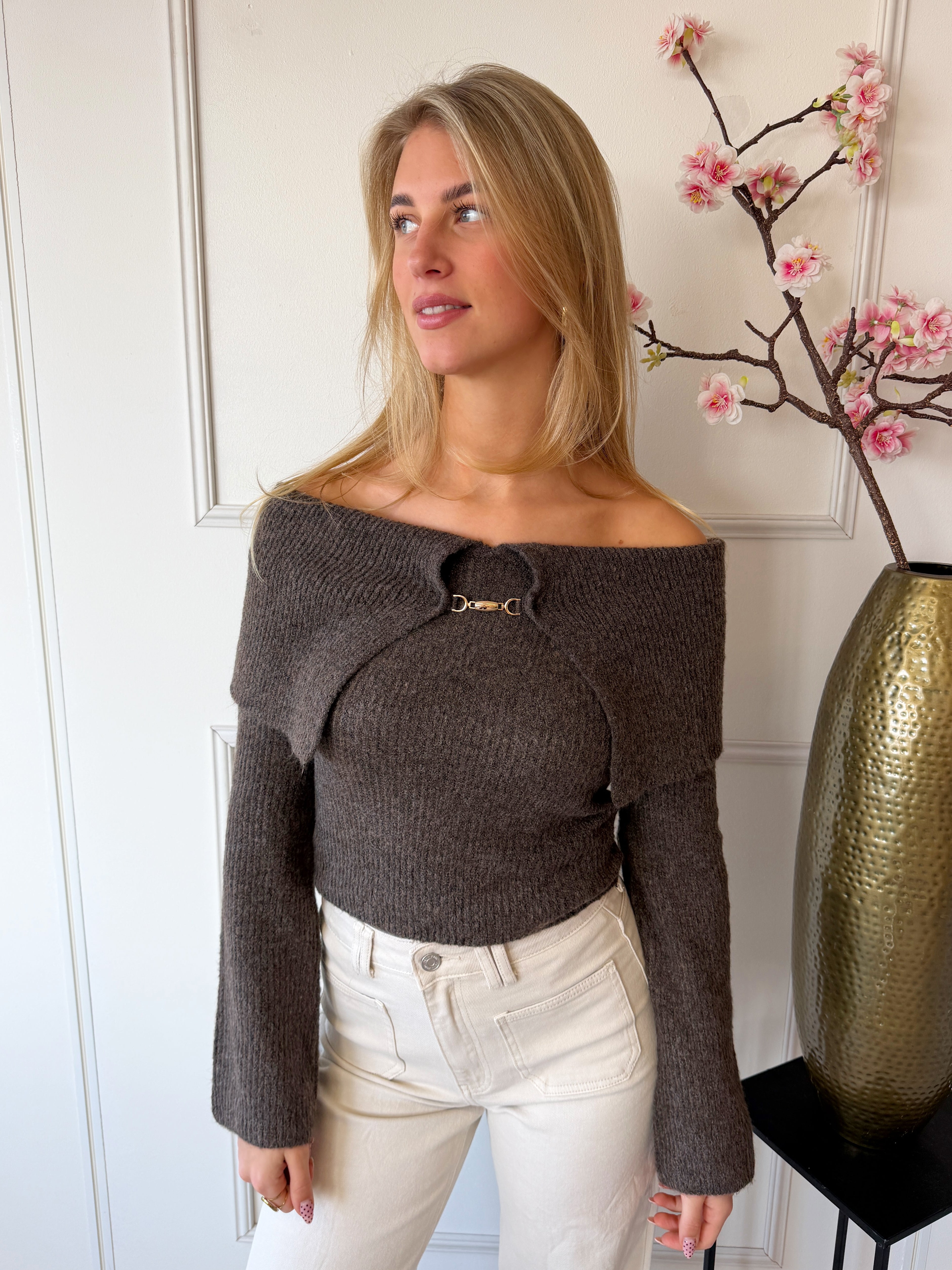 Kim Off Shoulder Trui | Bruin