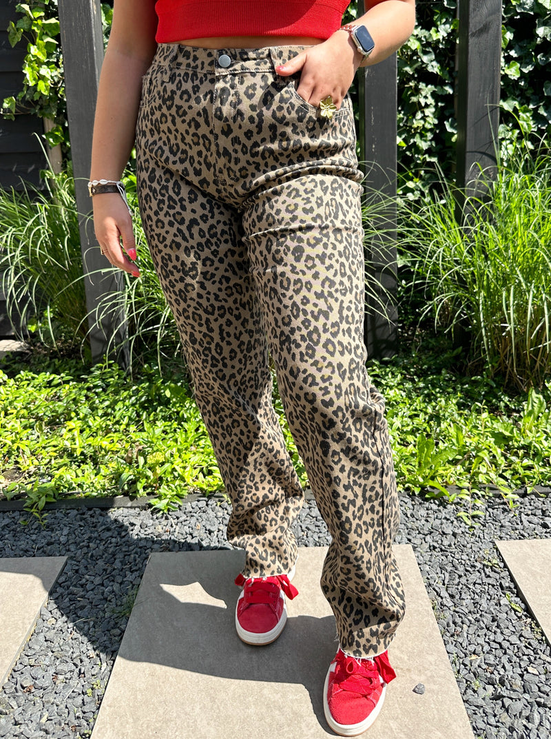 Panter Broek | Bruin