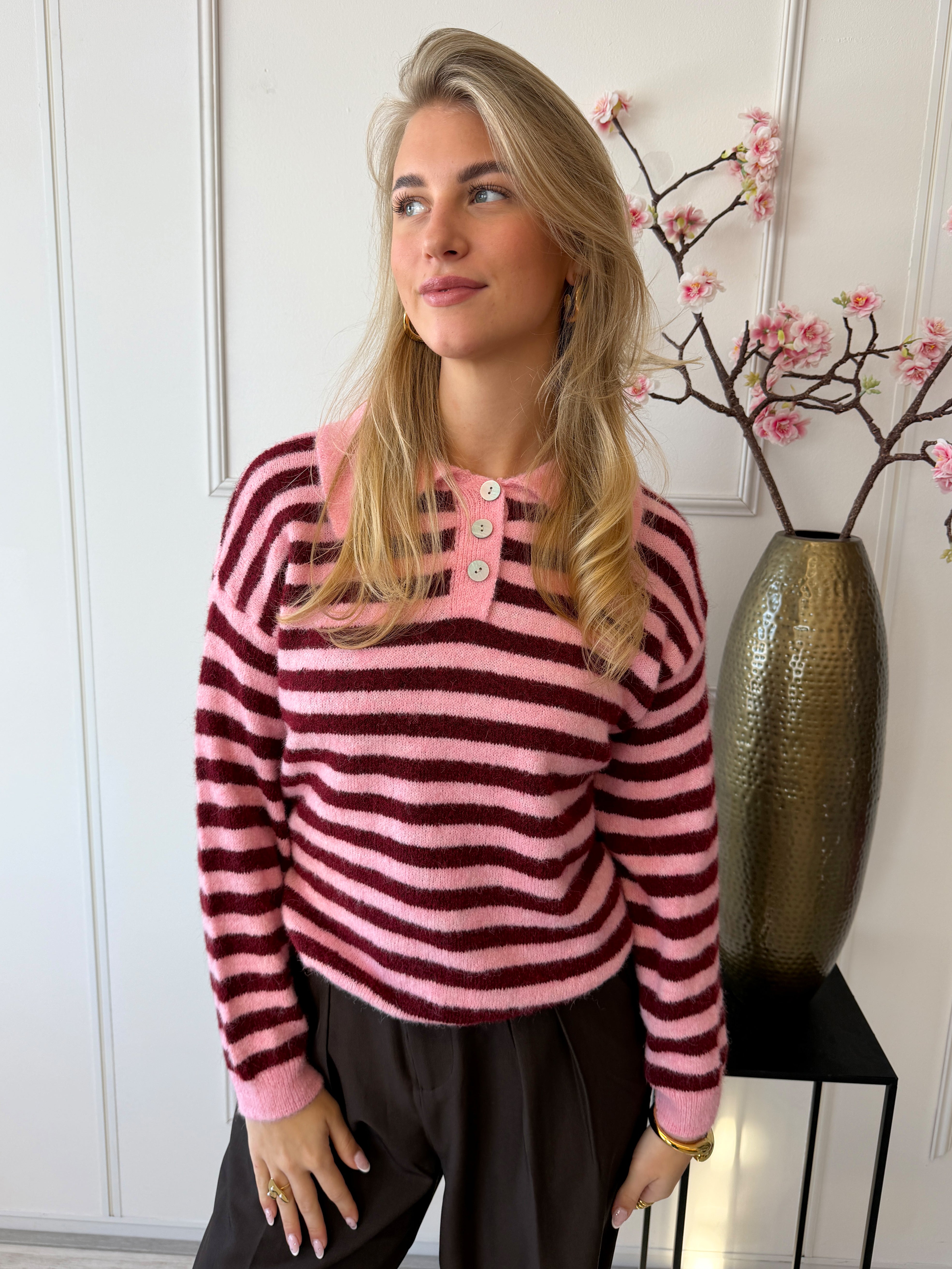 Jip Trui met kraag | Roze - Bordeaux