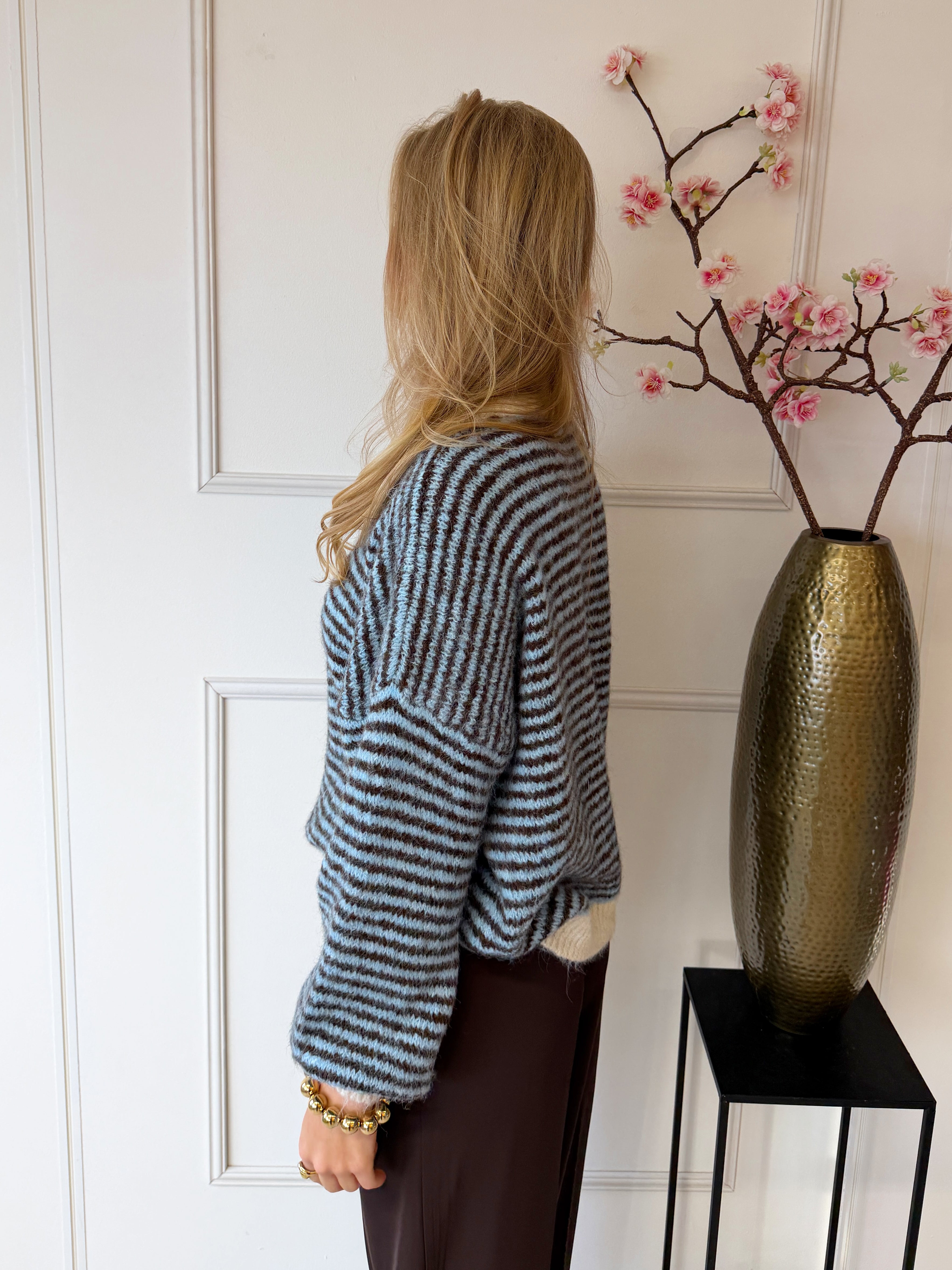 Chastar Striped Sweater | Blauw-Bruin