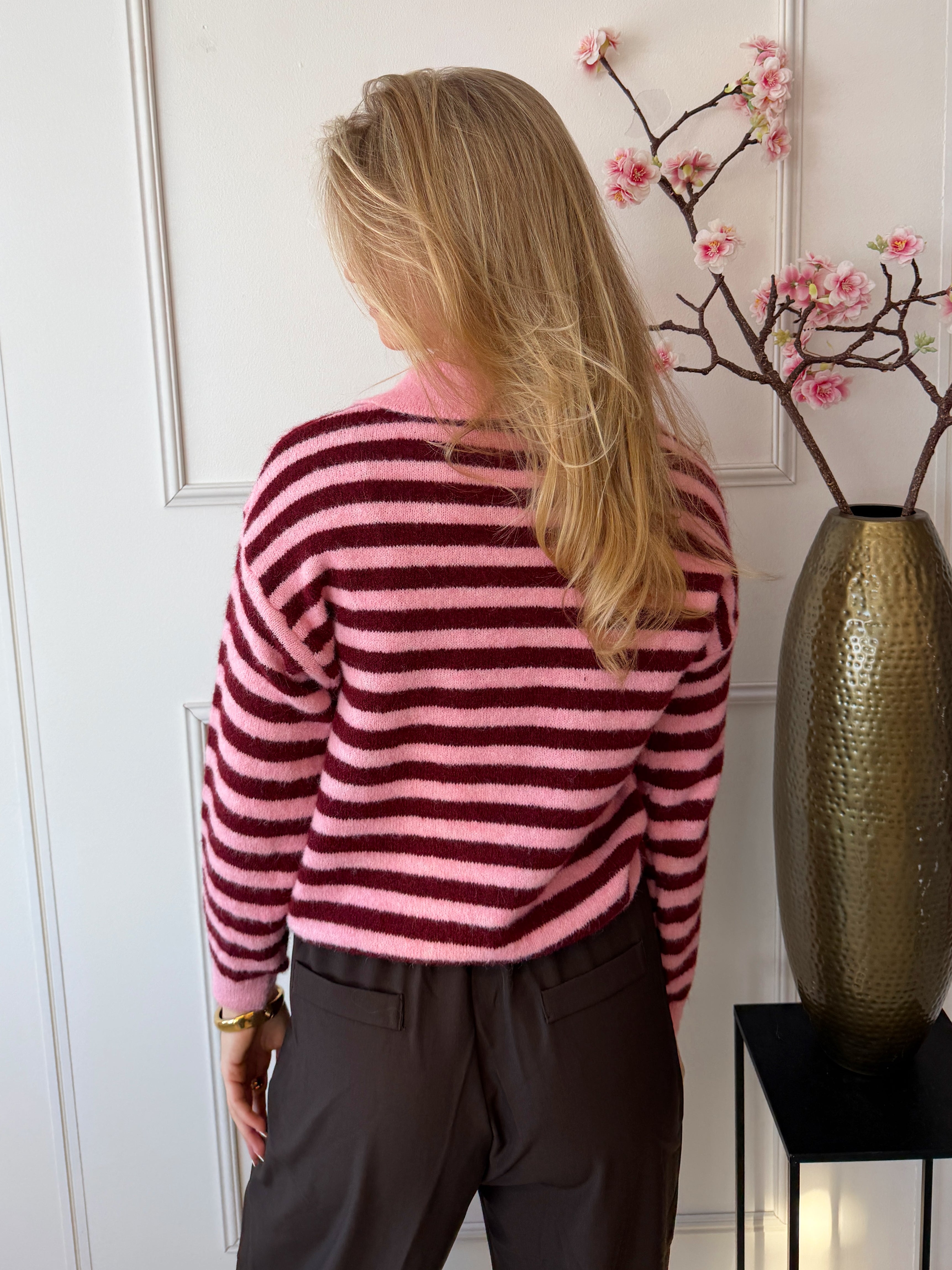 Jip Trui met kraag | Roze - Bordeaux