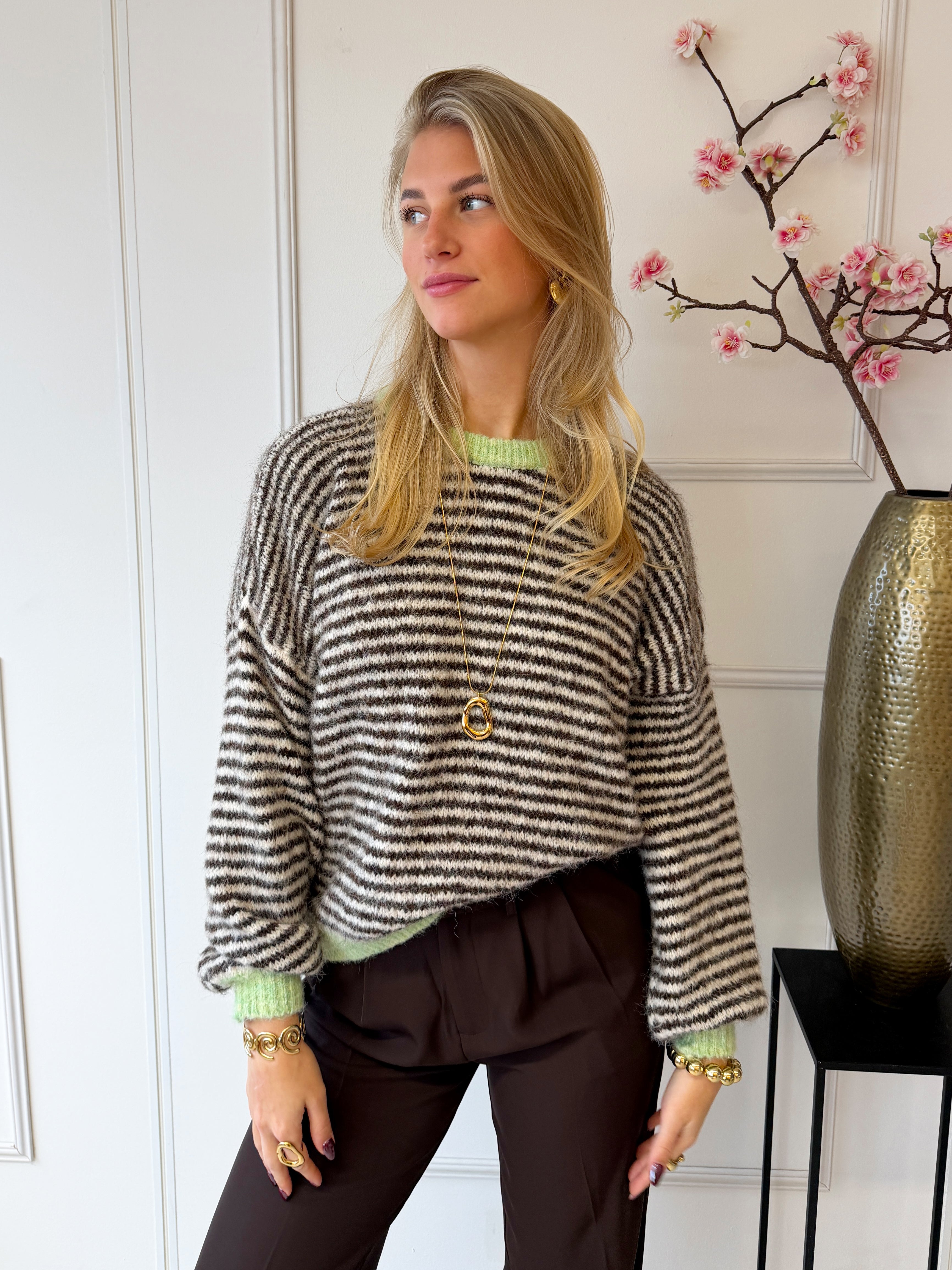 Chastar Striped Sweater | Mint - Bruin