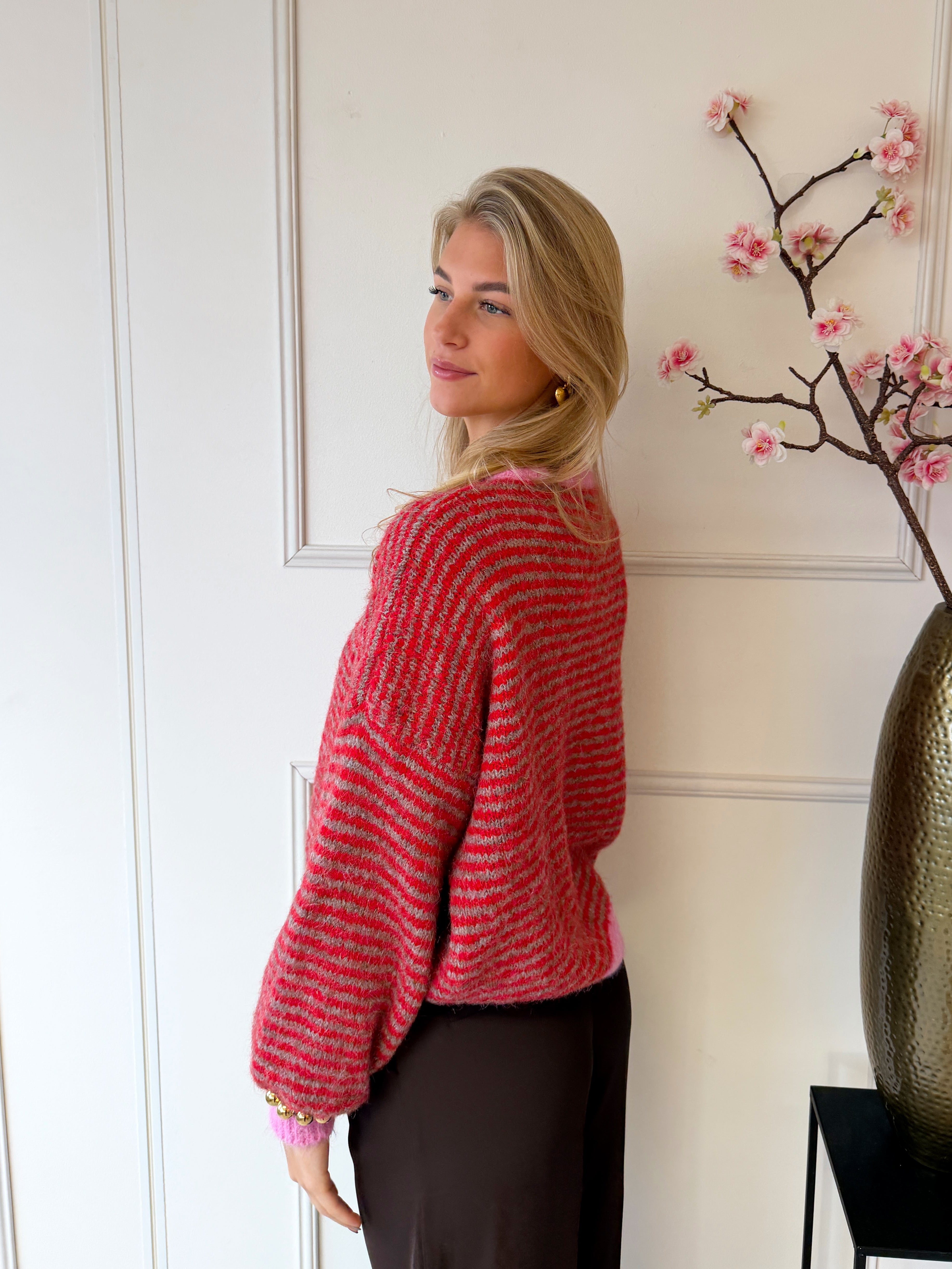 Chastar Striped Sweater | Rood - Roze