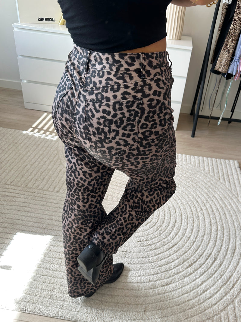 Panter Coated Elle Broek | Bruin