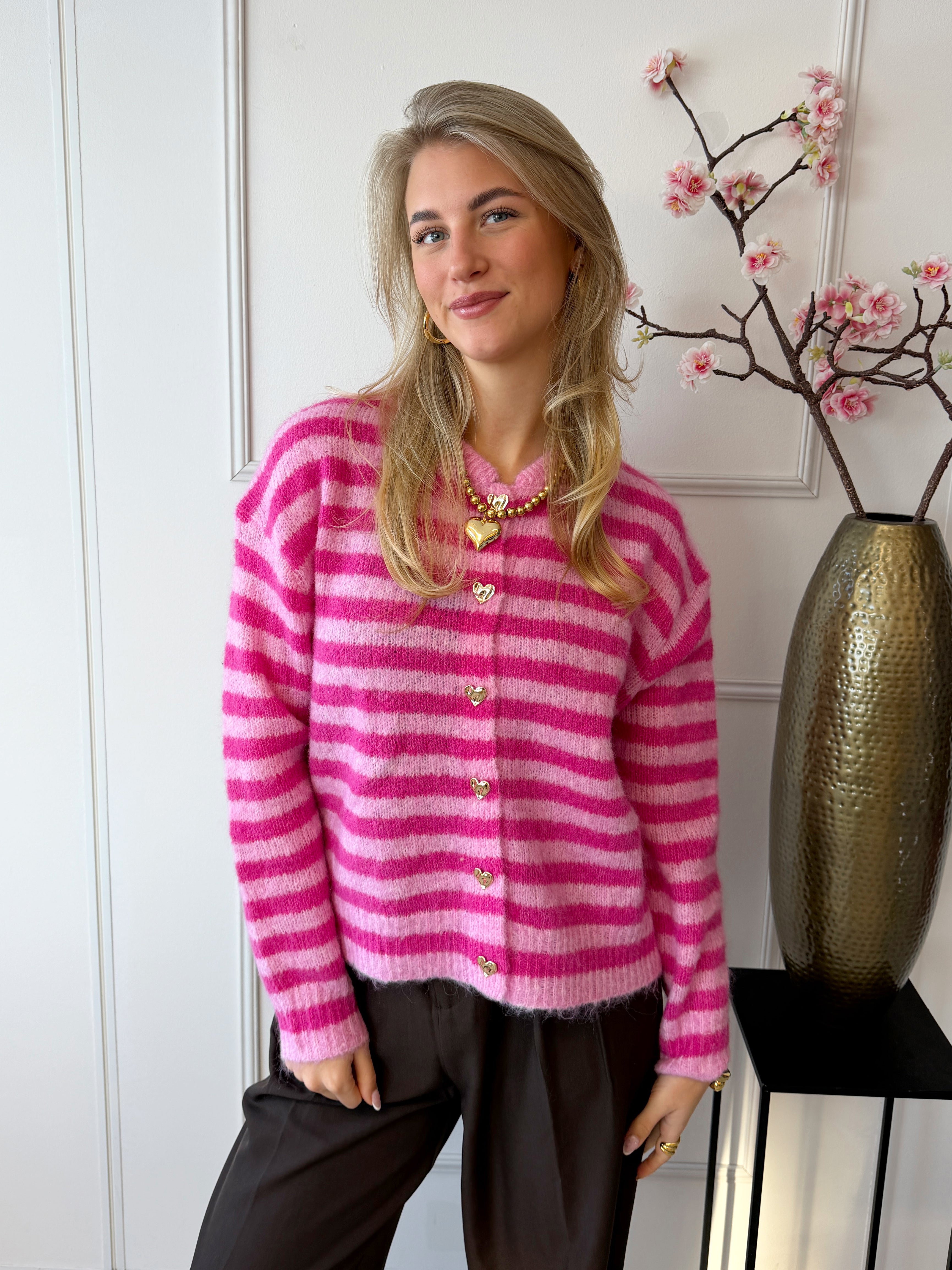 Kilky Stripe Trui | Roze