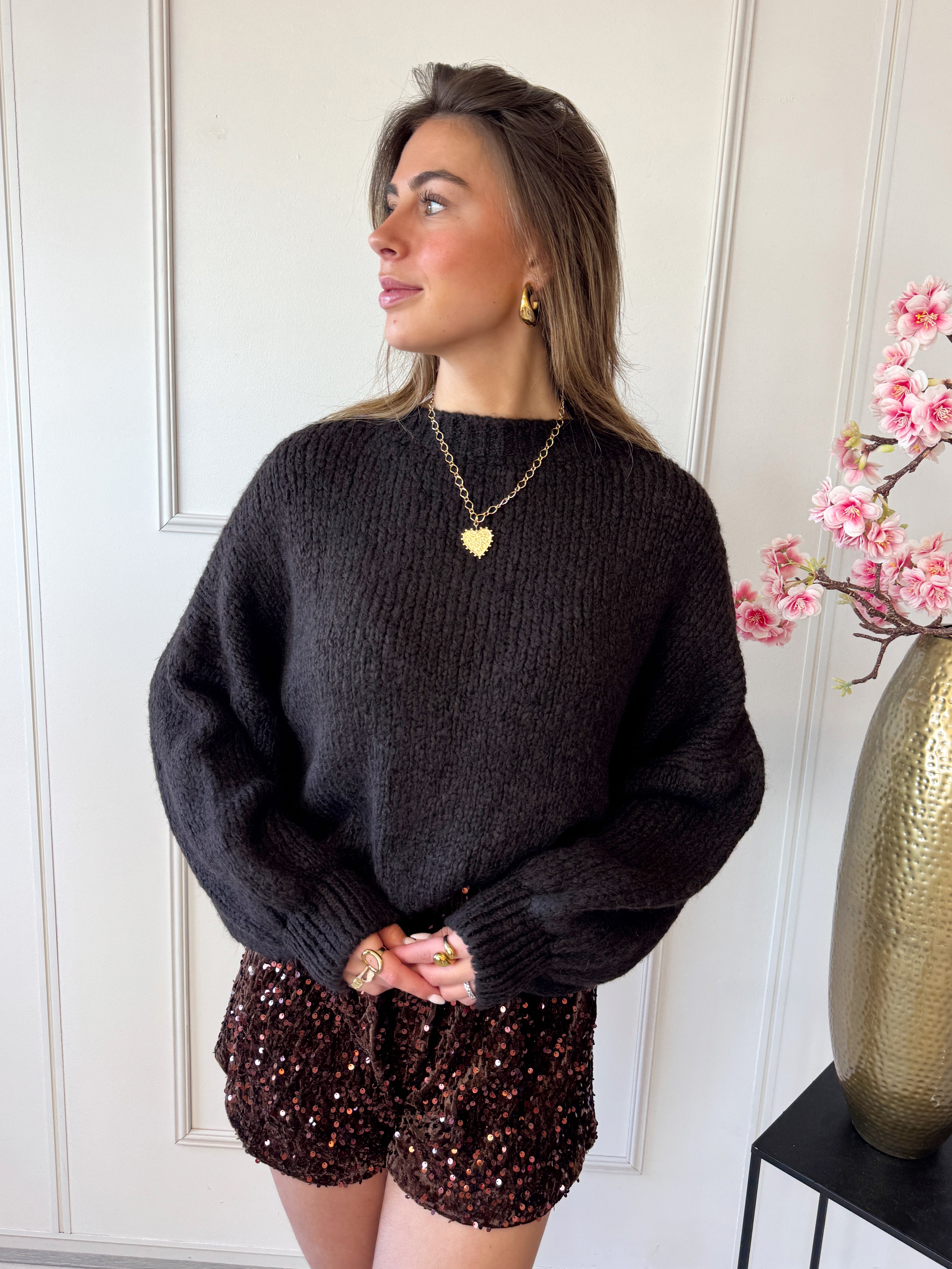 Lesley Sweater | Bruin