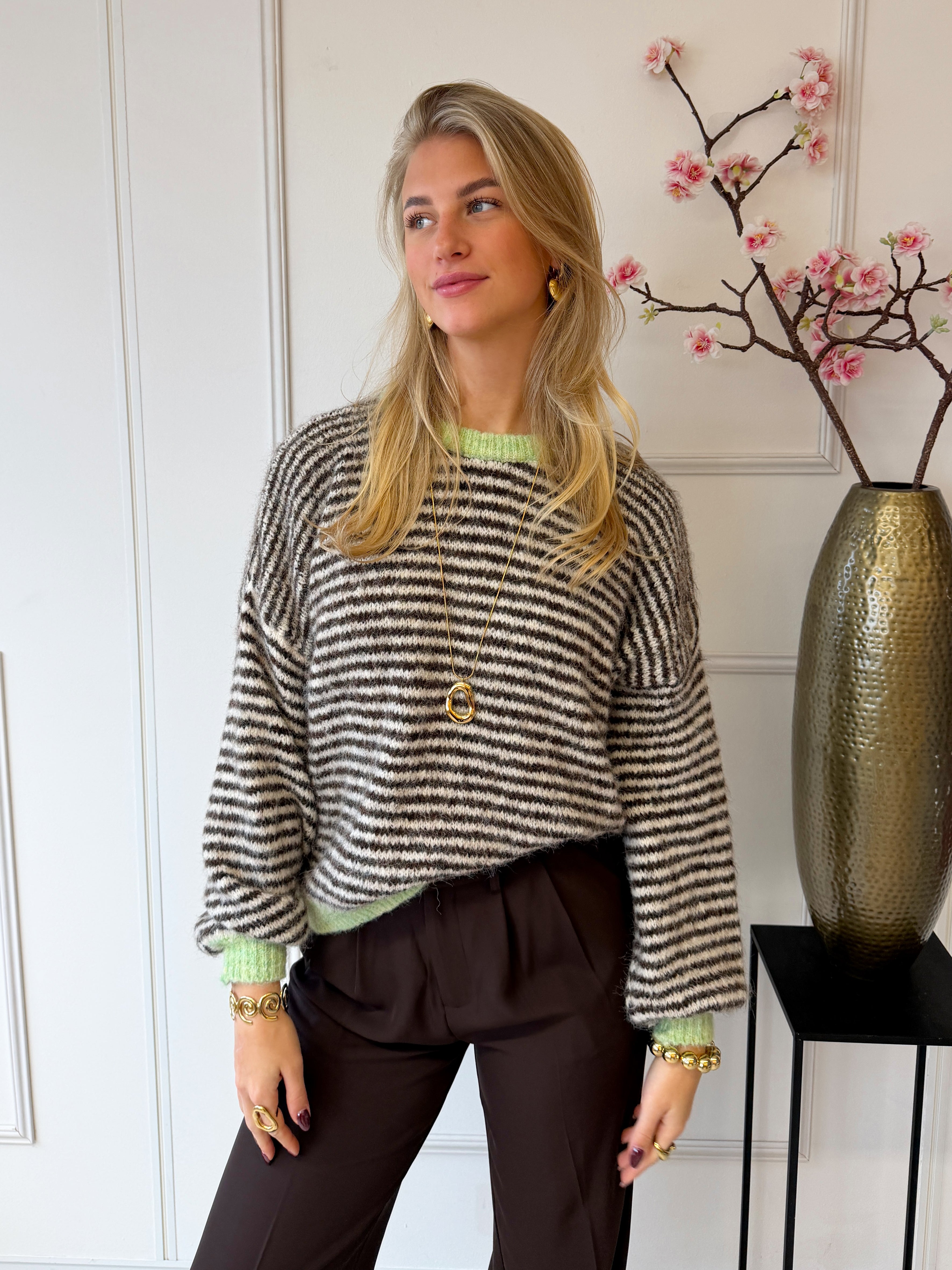 Chastar Striped Sweater | Mint - Bruin