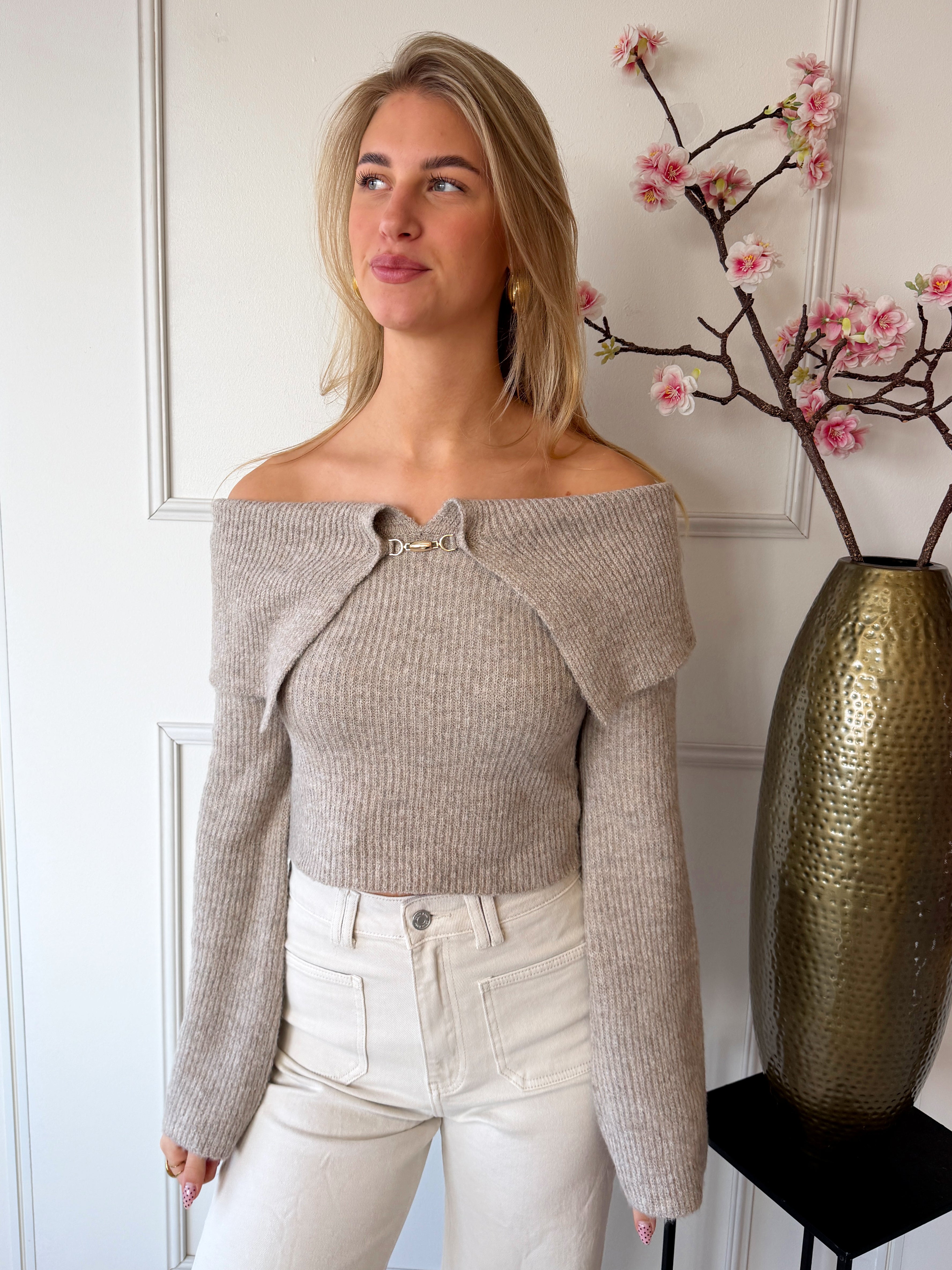 Kim Off Shoulder Trui | Taupe