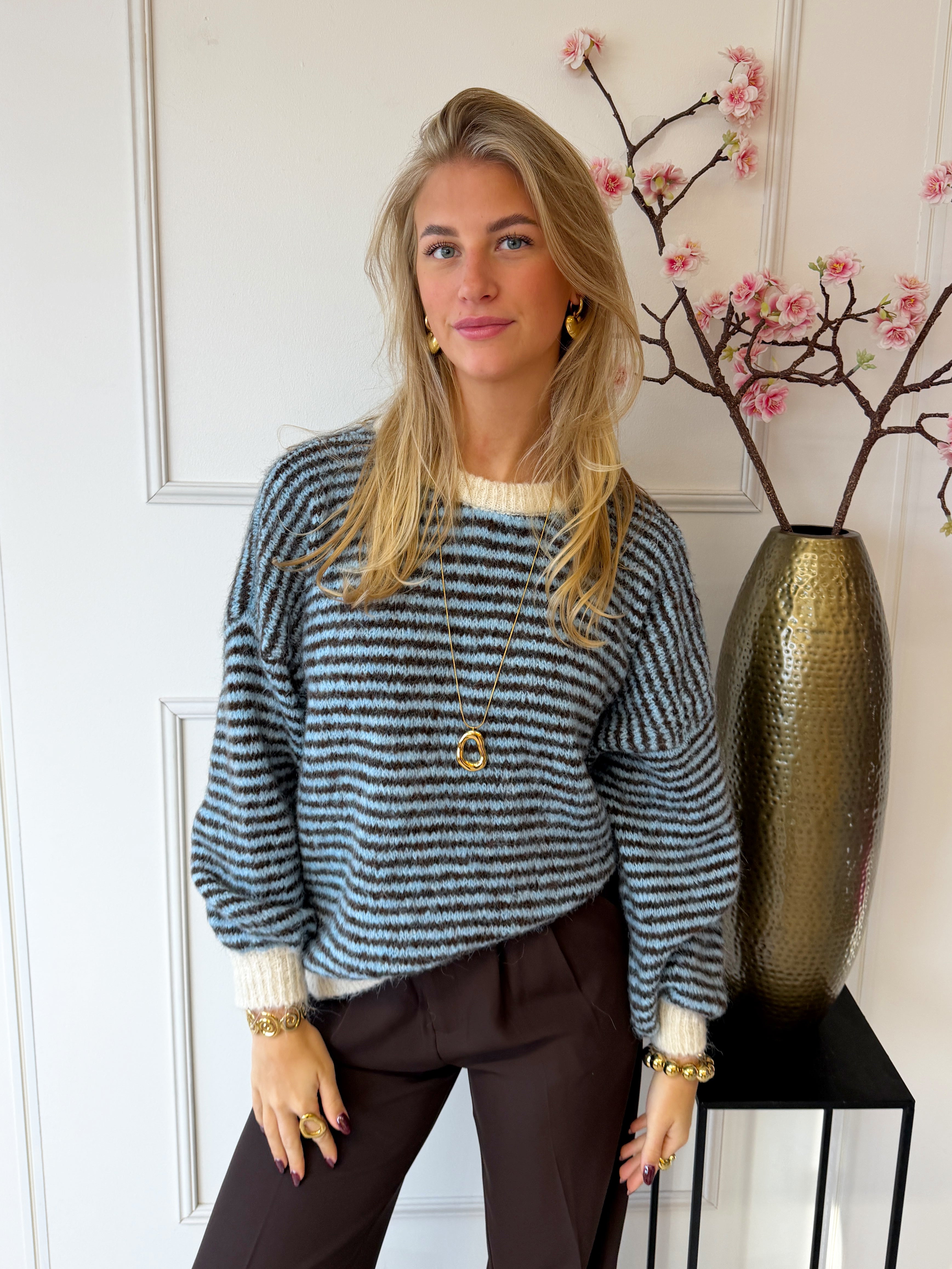 Chastar Striped Sweater | Blauw-Bruin