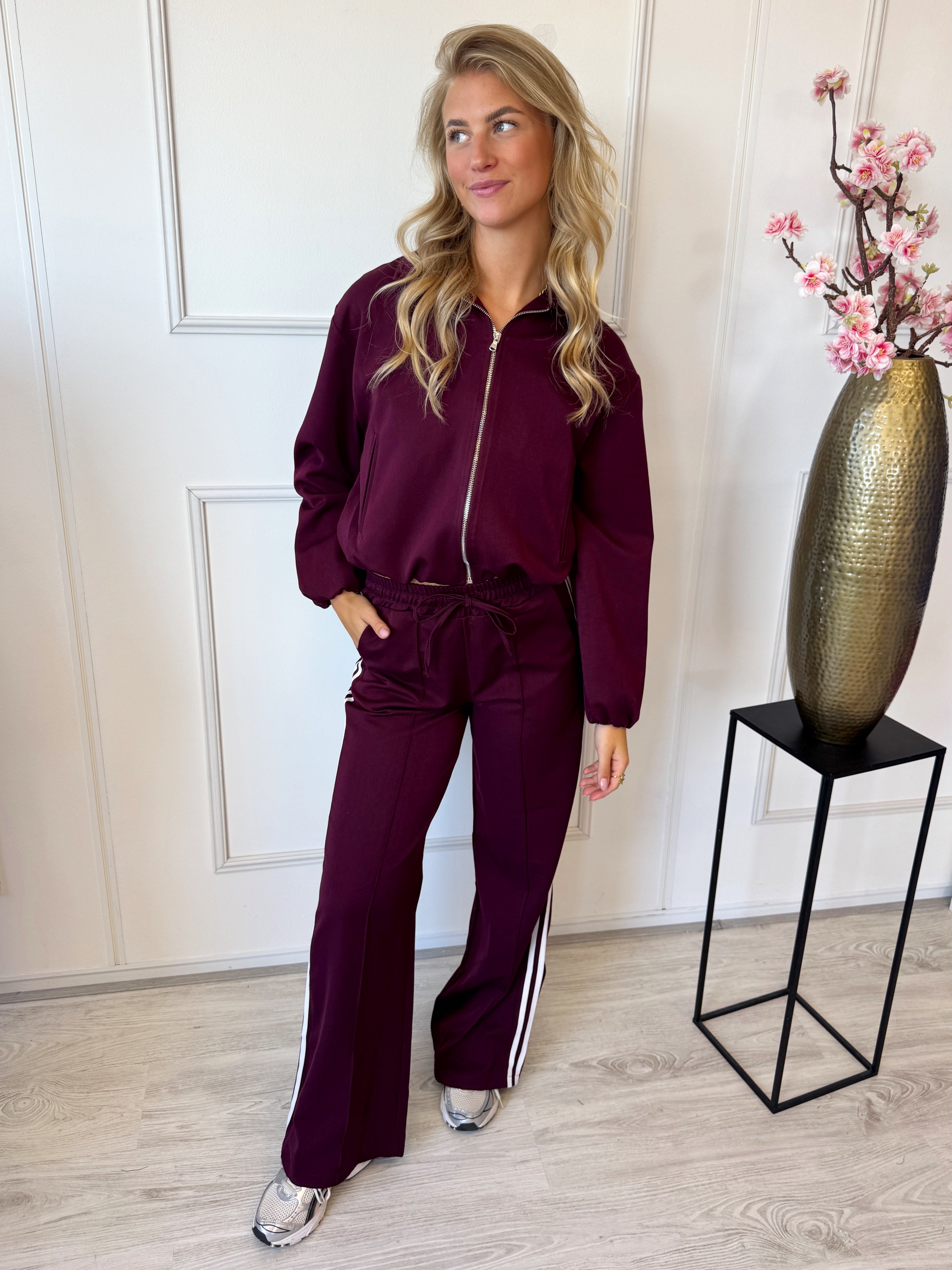 Straight Leg Stripe Pants | Bordeaux